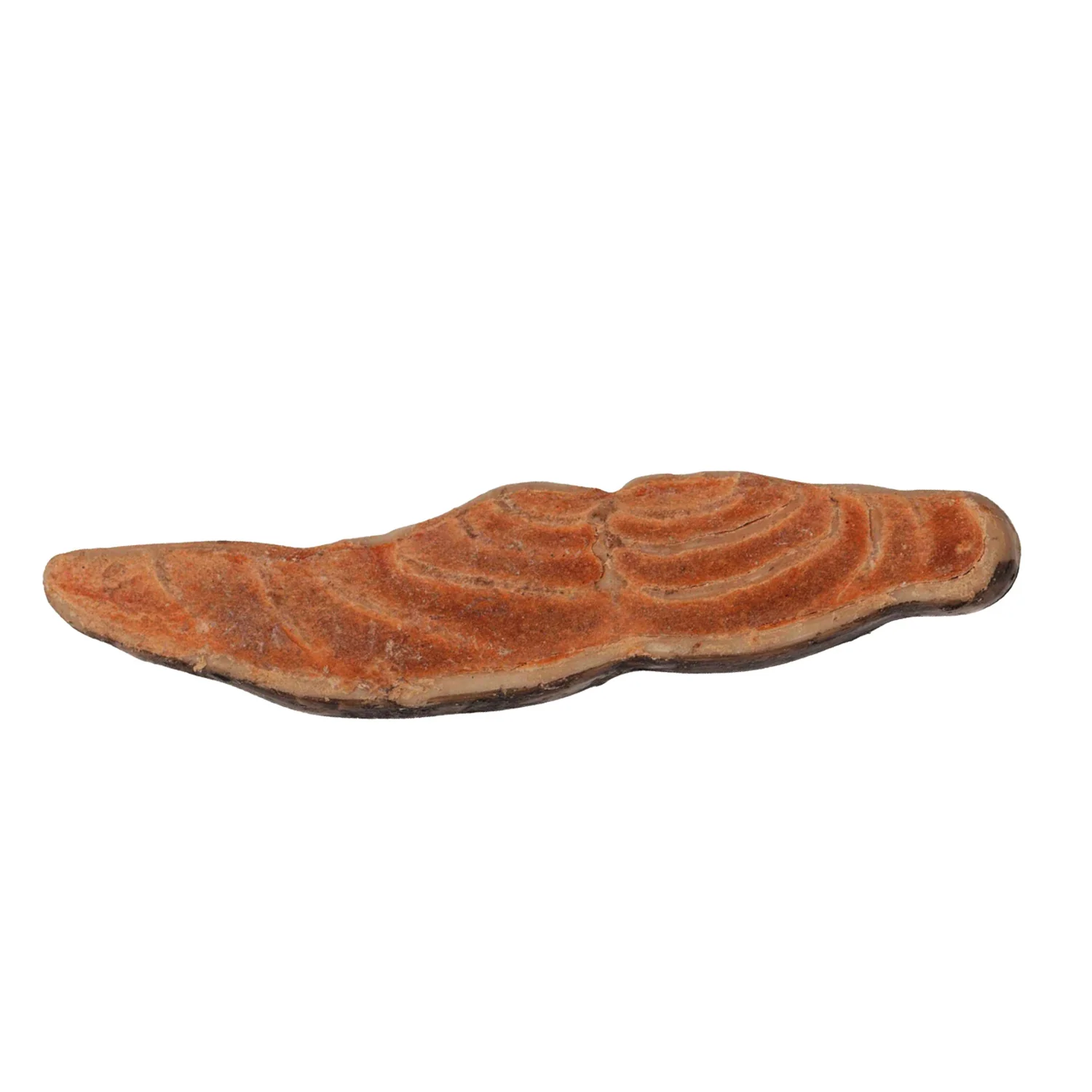 1kg Snacks Barbacoa Para Perro, Sin Gluten, Bajo En Grasa. Forma Filete De Salmon, 32u Aprox - Image 2