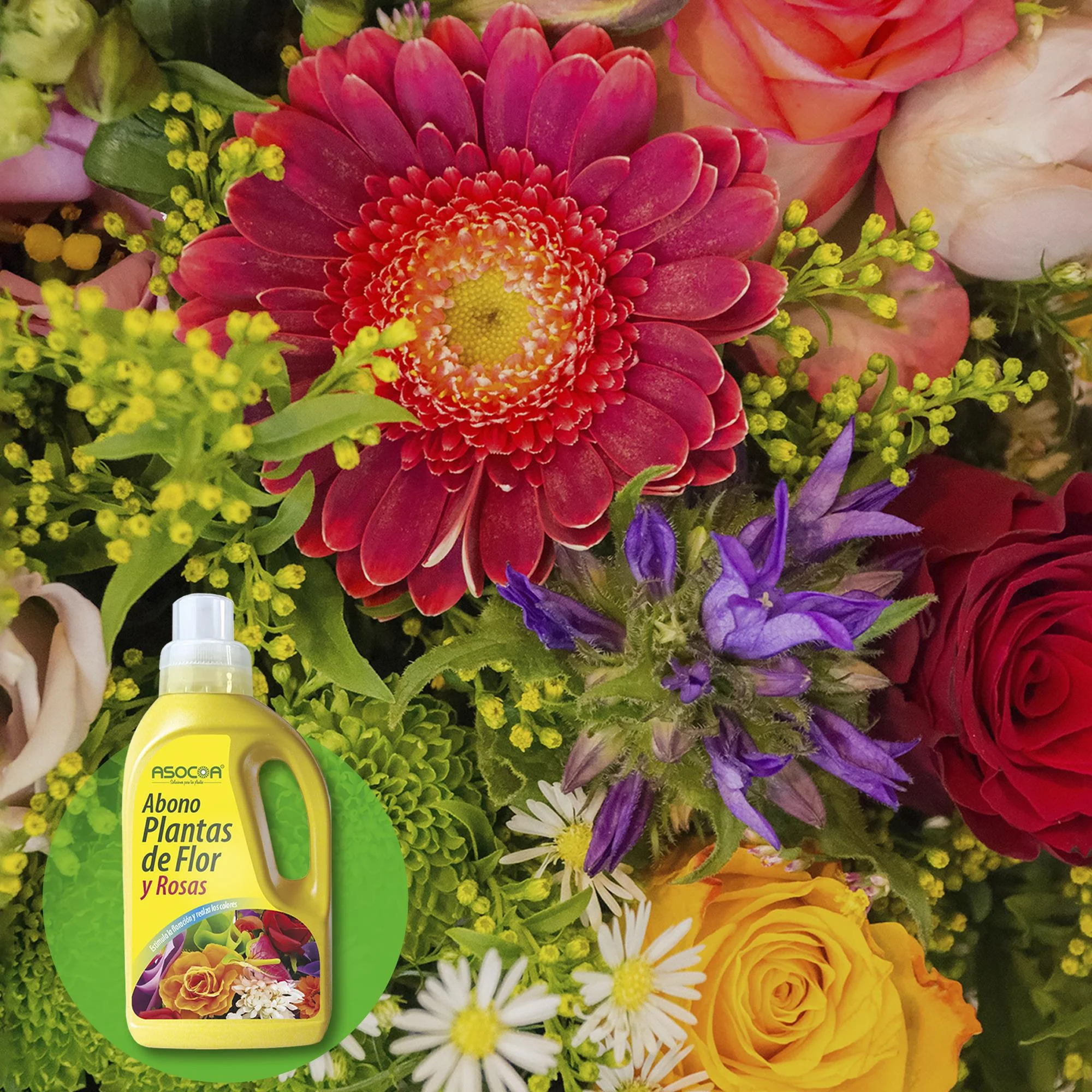 Abono Liquido Para Rosas Y Plantas Con Flor 1 Litro - Image 3