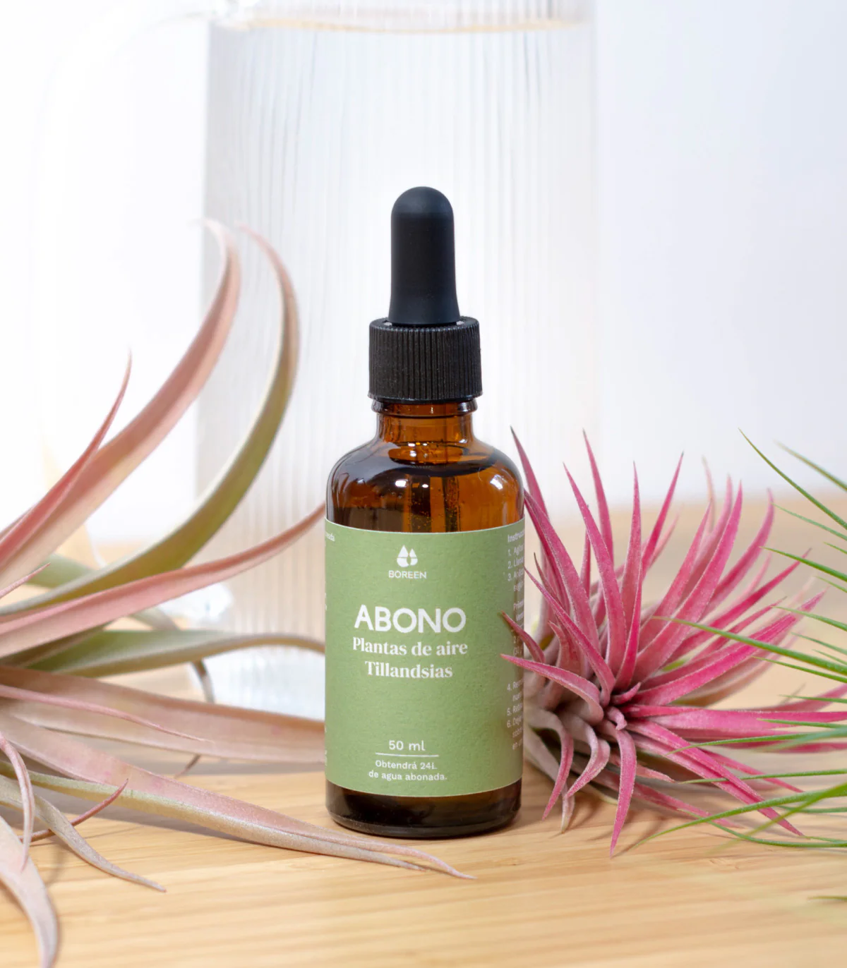 Abono Para Planta De Aire Tillandsia 50 ml - Image 2