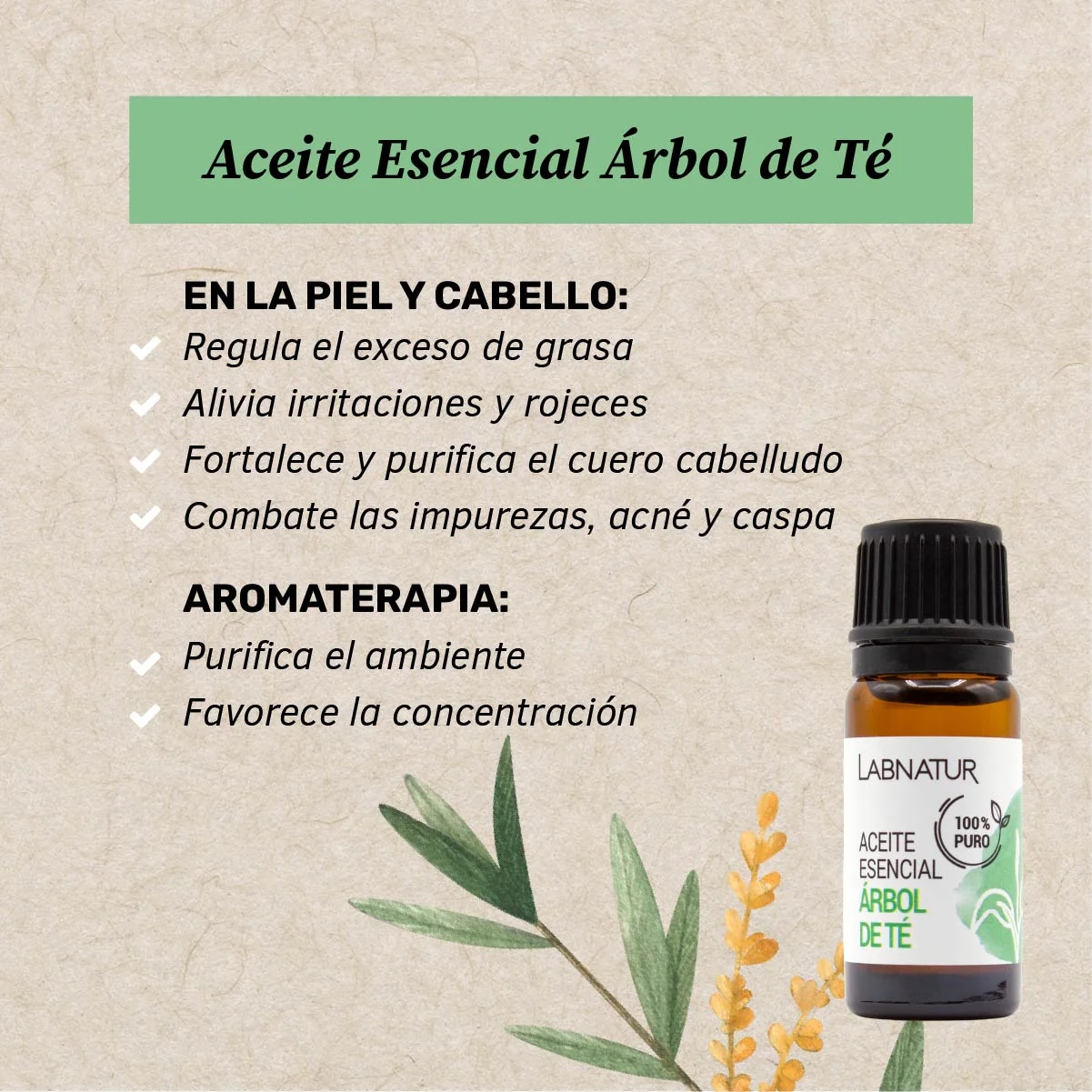 Aceite De Árbol De Té Puro 10 Ml | Purificante Y Antibacteriano | Cuidado Facial Y Corporal | Uso Diario - Image 2