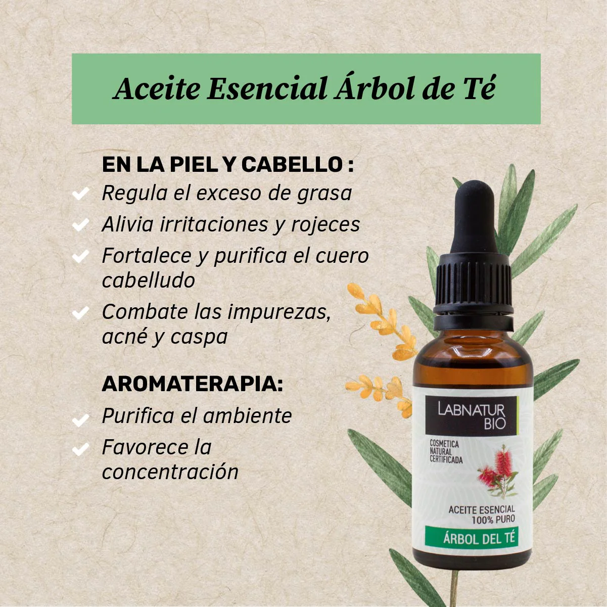 Aceite de Árbol Del Té 100% Puro | Antibacteriano Natural | Purificante Piel y Cuero Cabelludo | Uso Facial y Capilar - Image 2