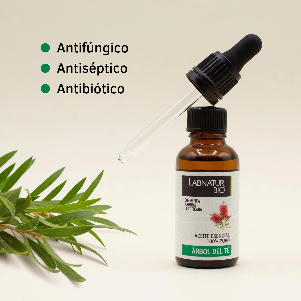 Aceite de Árbol Del Té 100% Puro | Antibacteriano Natural | Purificante Piel y Cuero Cabelludo | Uso Facial y Capilar - Image 3