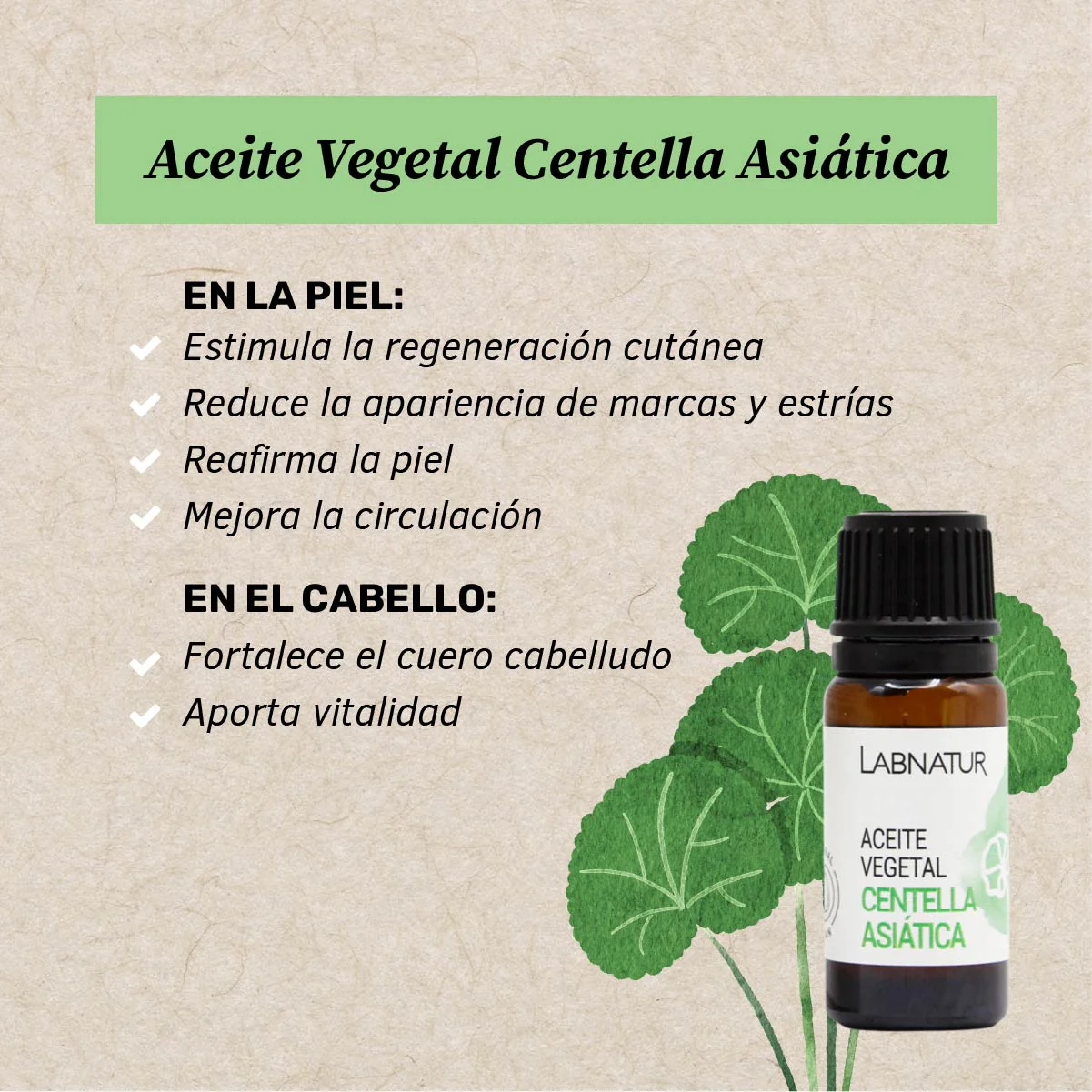 Aceite de Centella Asiática 10 ml | Regenerador y Calmante | Cuidado Facial y Corporal | Piel Sensible - Image 2
