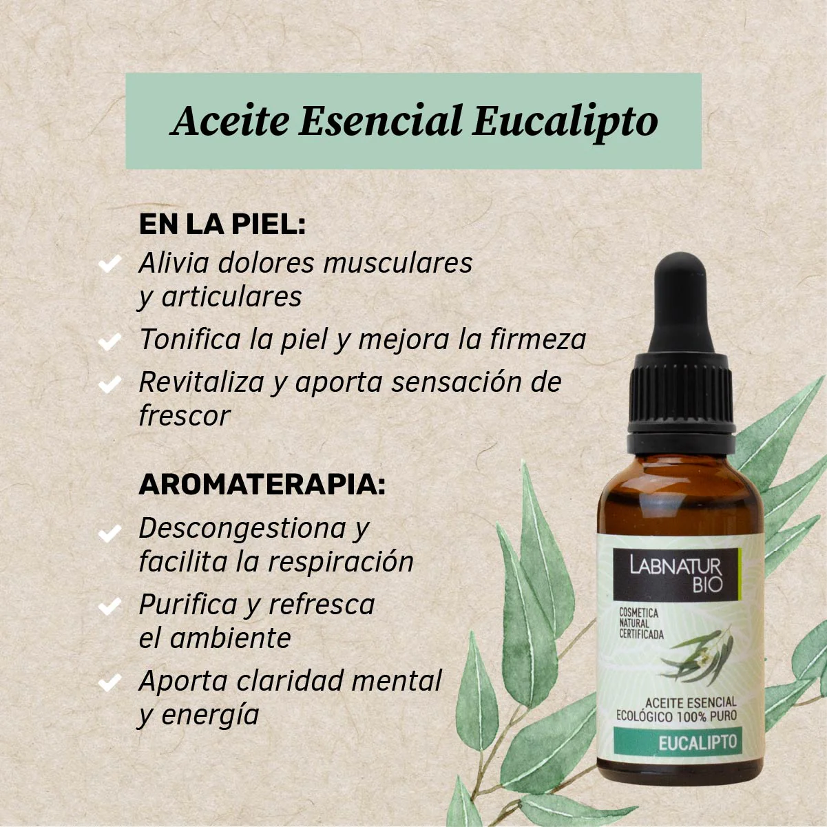 Aceite de Eucalipto 100% Puro | Purificante y Refrescante Natural | Alivio Respiratorio y Aromaterapia | Uso Facial - Image 2