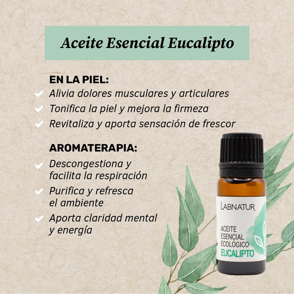 Aceite de Eucalipto Puro 10 ml | Refrescante y Purificante | Aromaterapia y Bienestar - Image 2
