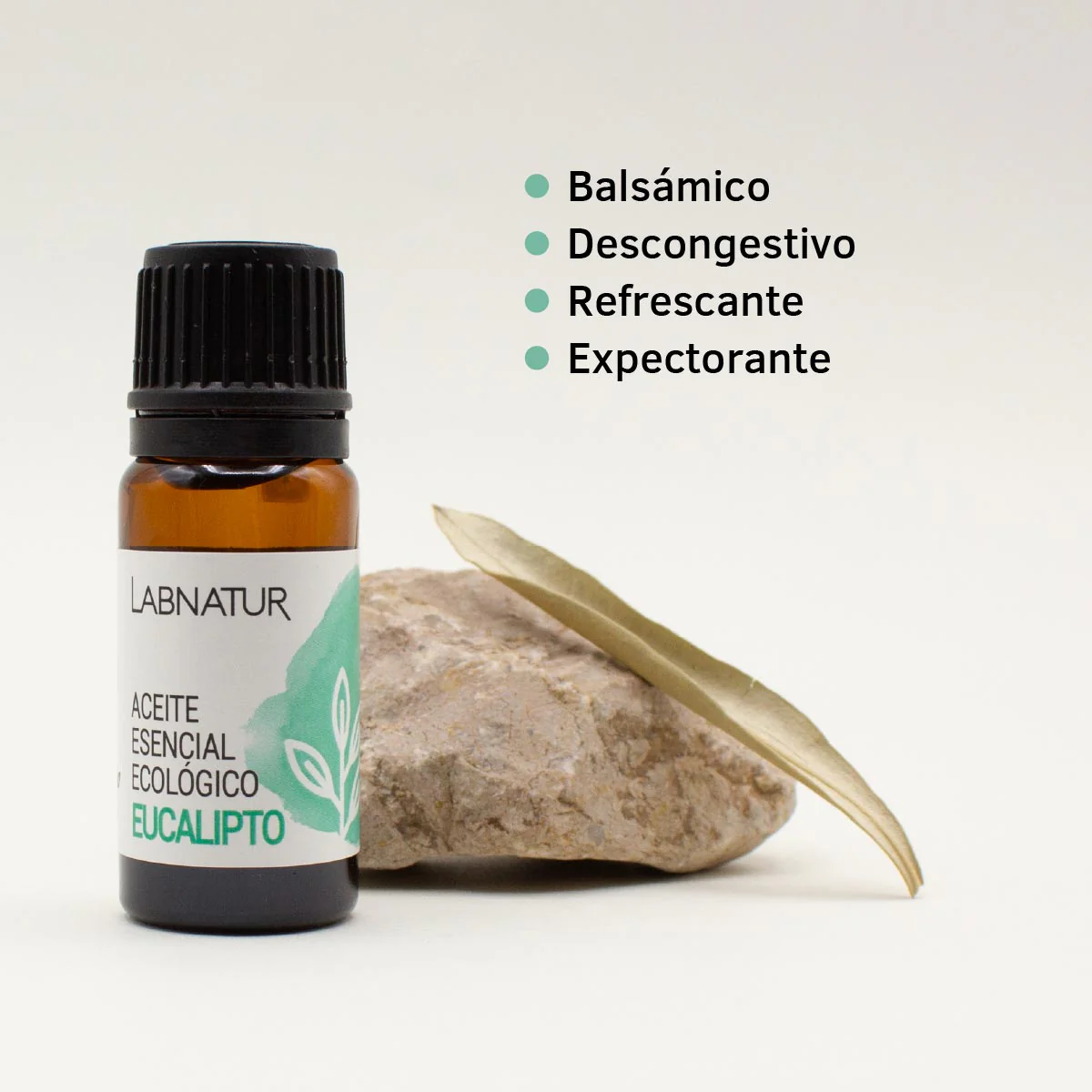 Aceite de Eucalipto Puro 10 ml | Refrescante y Purificante | Aromaterapia y Bienestar - Image 5