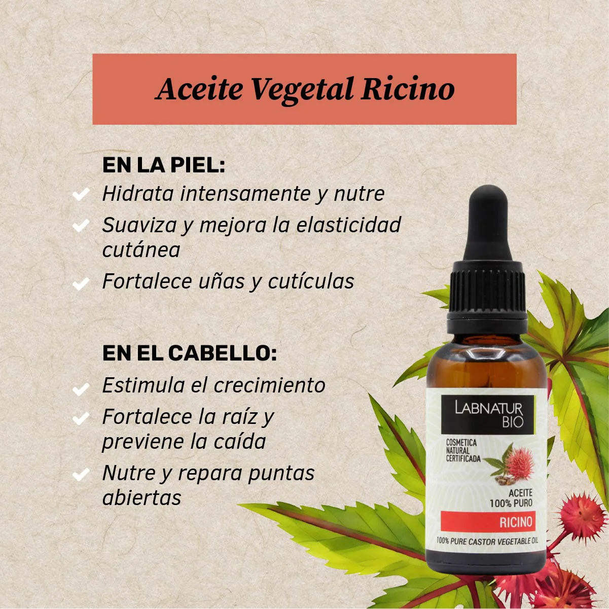 Aceite de Ricino 100% Puro | Ácidos Grasos Esenciales | Fortalecedor de Pestañas y Cabello | Nutrición Intensa Piel - Image 2