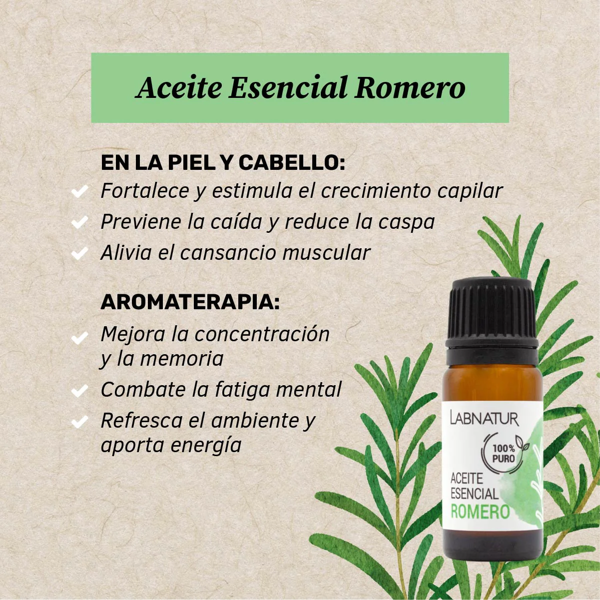 Aceite De Romero Puro 10 Ml | Estimulante Y Tonificante | Cuidado Capilar Y Corporal | Uso Diario - Image 2