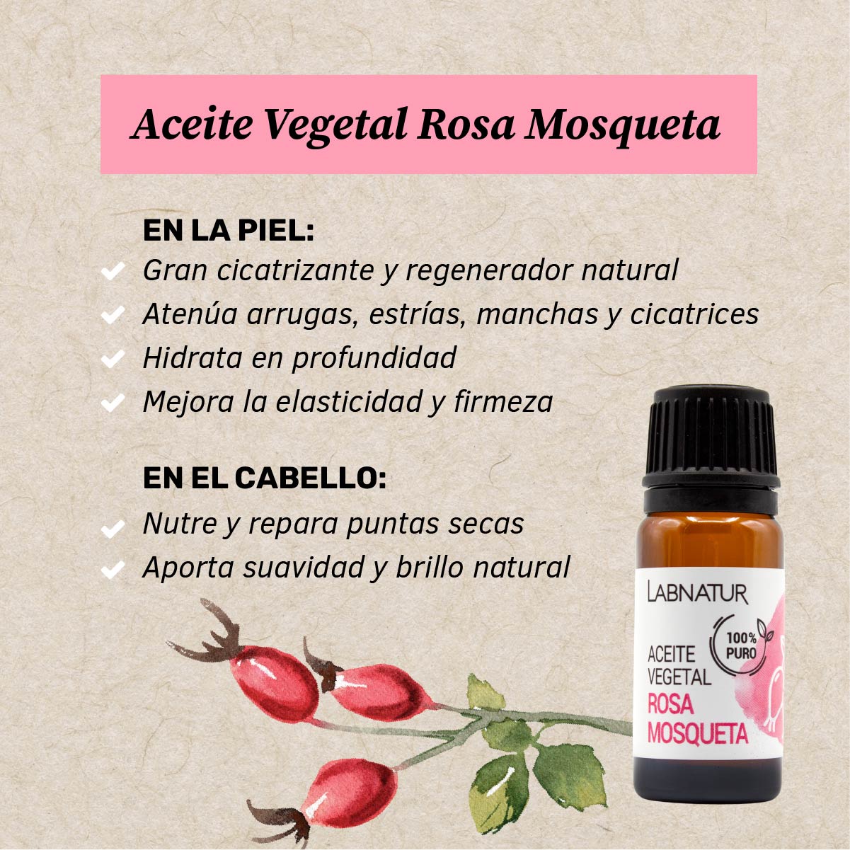 Aceite de Rosa Mosqueta Puro 10 ml | Regenerador y Anti-aging | Hidratante Facial y Corporal - Image 2