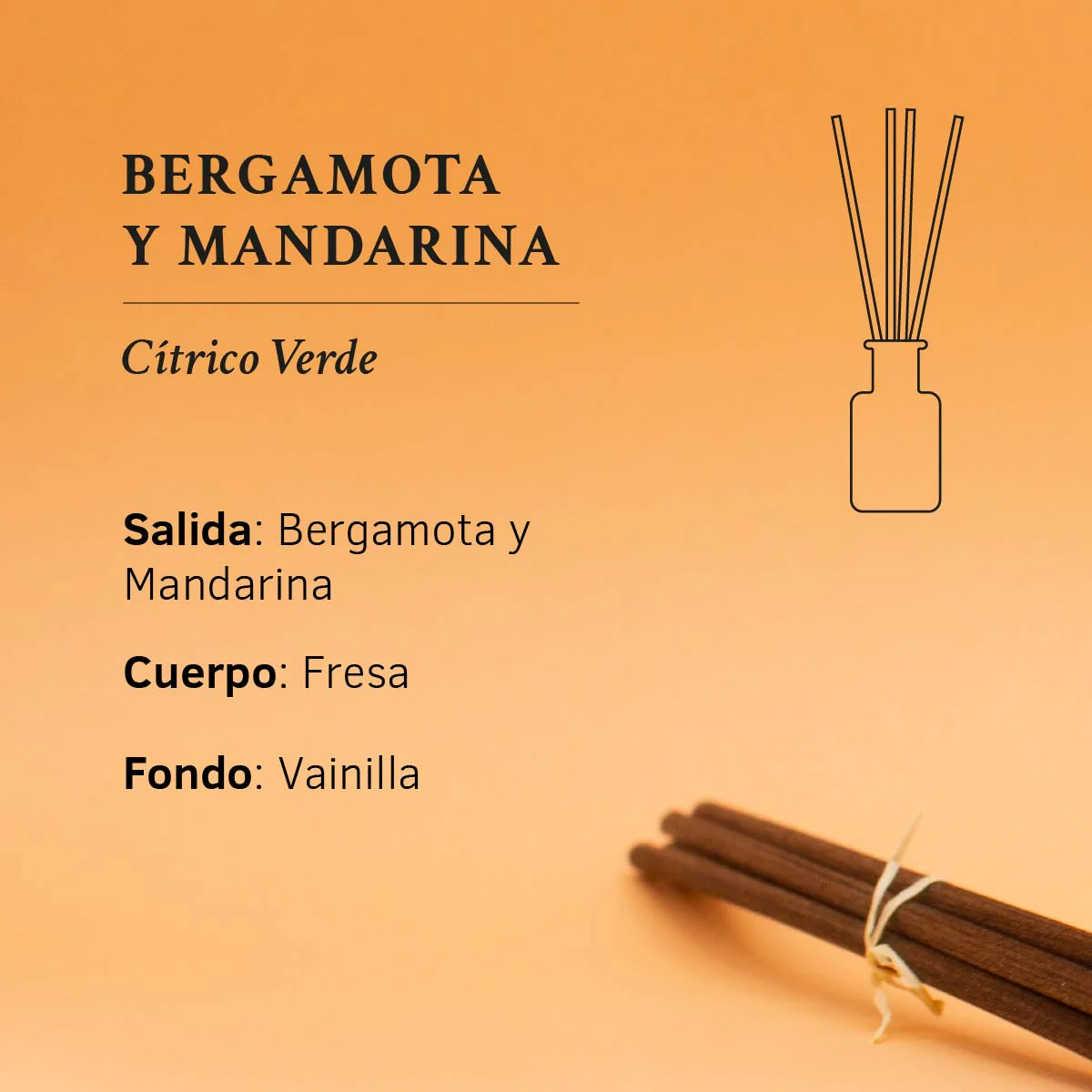 Ambientador Mikado Bergamota y Mandarina 1991 100 ml | Difusor de Varillas | Fragancia Cítrica y Refrescante | Hogar - Image 4