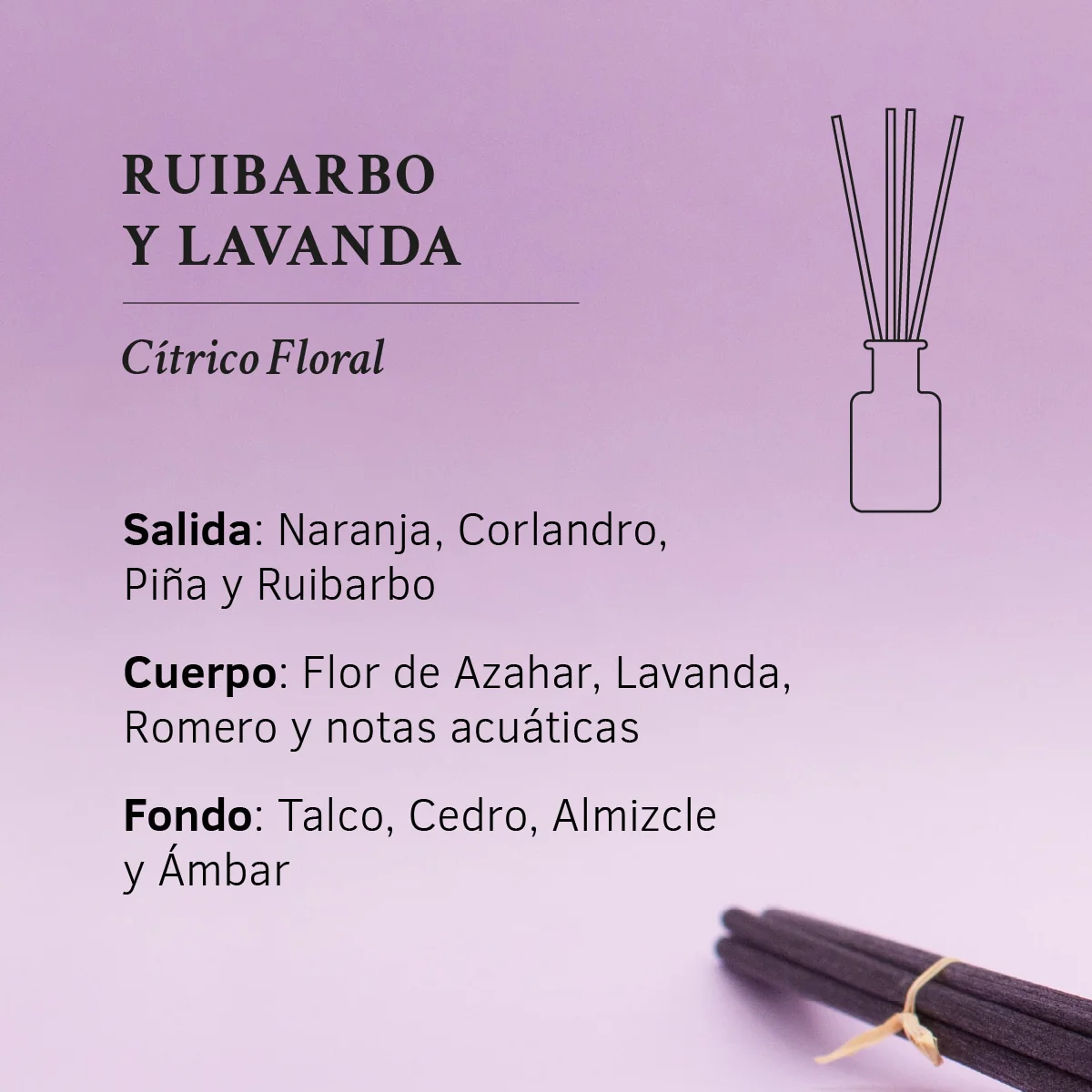 Ambientador Mikado Ruibarbo y Lavanda 1991 100 ml | Difusor de Varillas | Fragancia Fresca y Relajante | Hogar - Image 4