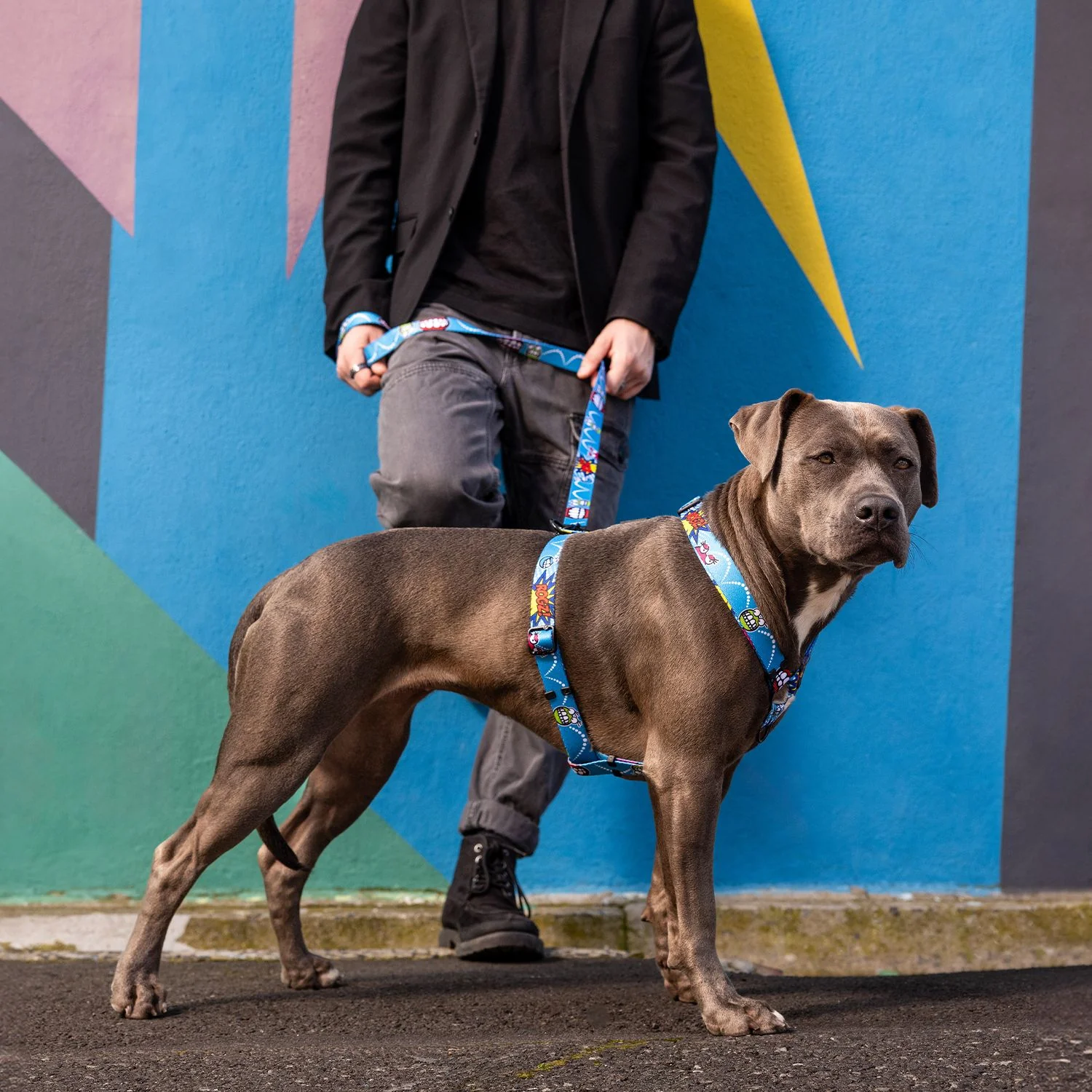 Arnés Para Perro, Modelo Fusion De Rogz, Estampado Comic Azul. Talla Xl (39-64kg) - Image 4