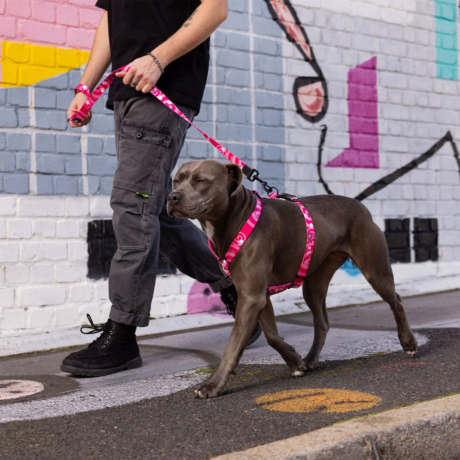 Arnés Para Perro, Modelo Fusion De Rogz, Estampado Huellas Rosas. Talla Xl (39-64kg) - Image 4