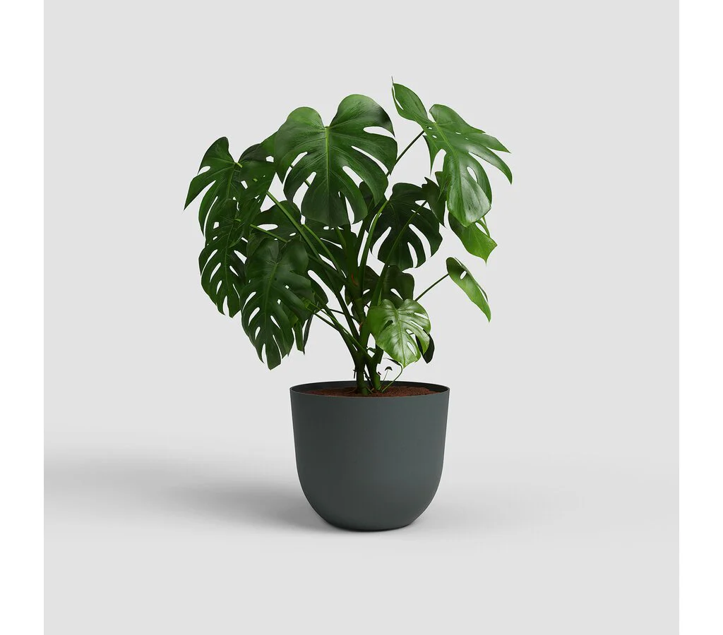 Artevasi Macetero Havana Natural Antracita 50cm - Image 2
