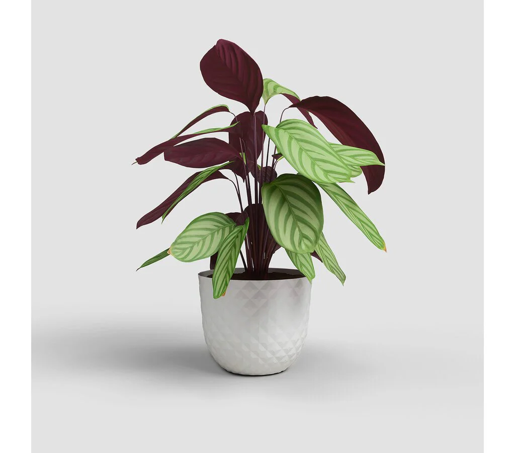 Artevasi Macetero Havana Tropical Blanco De Plástico Reciclado 50cm - Image 2