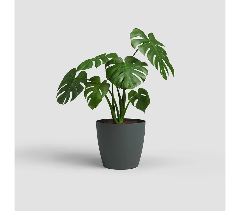 Artevasi Macetero Plastico Mate San Remo Antracita 36cm - Image 2