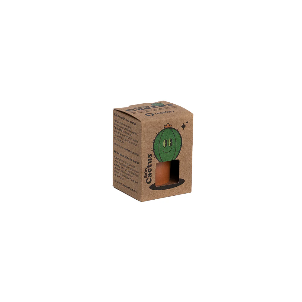 Baby Cactus | Kit De Cultivo De Cactus Con Maceta De Barro Artesanal