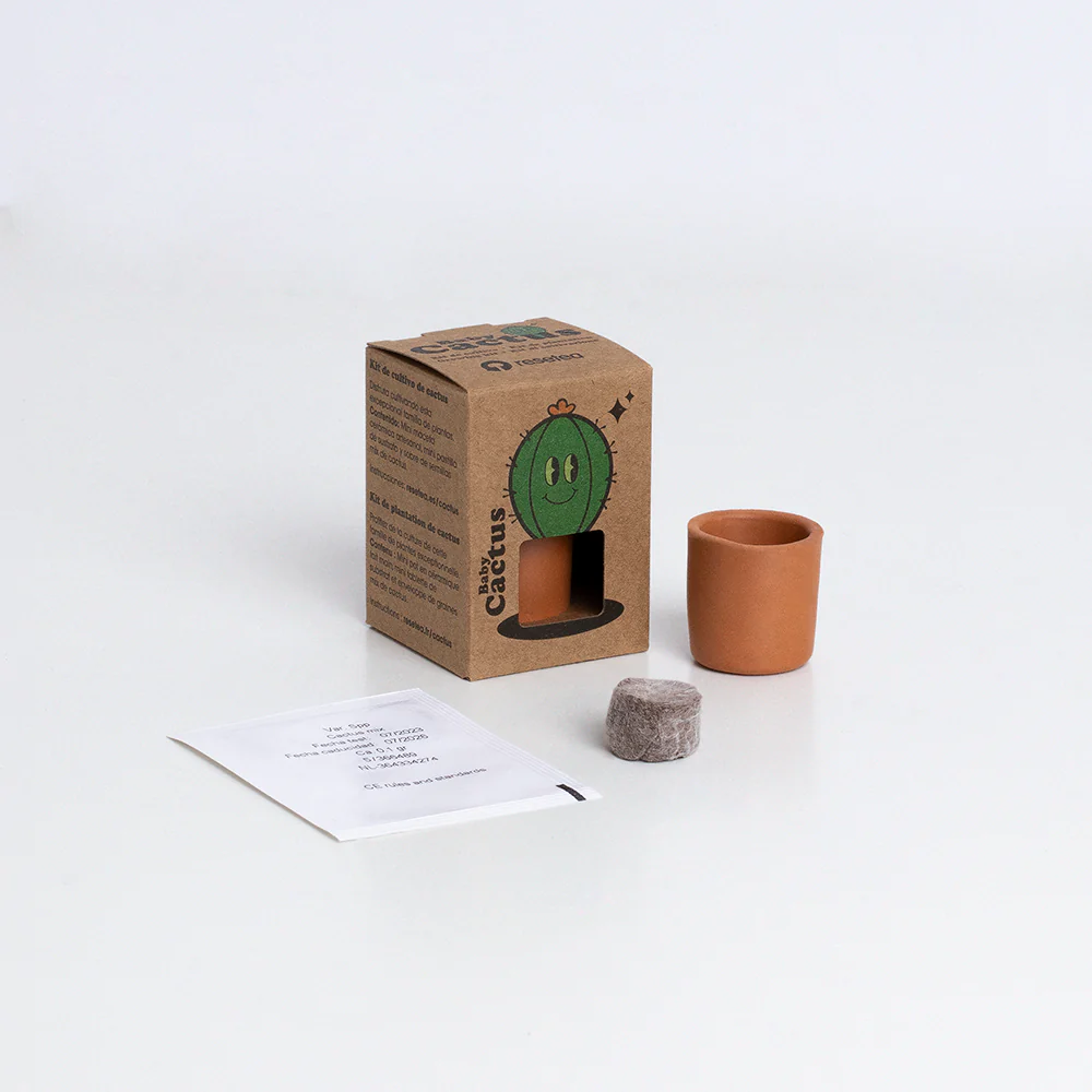 Baby Cactus | Kit De Cultivo De Cactus Con Maceta De Barro Artesanal - Image 2