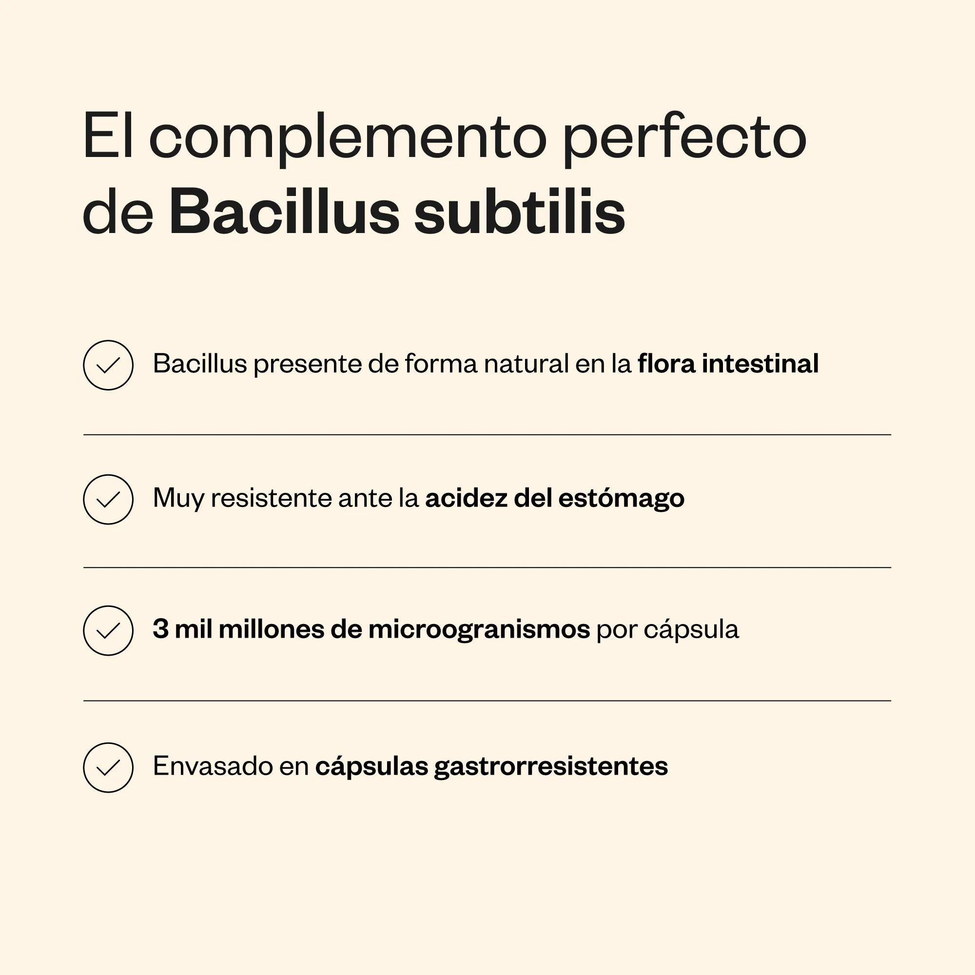 Bacillus Subtilis - Image 4