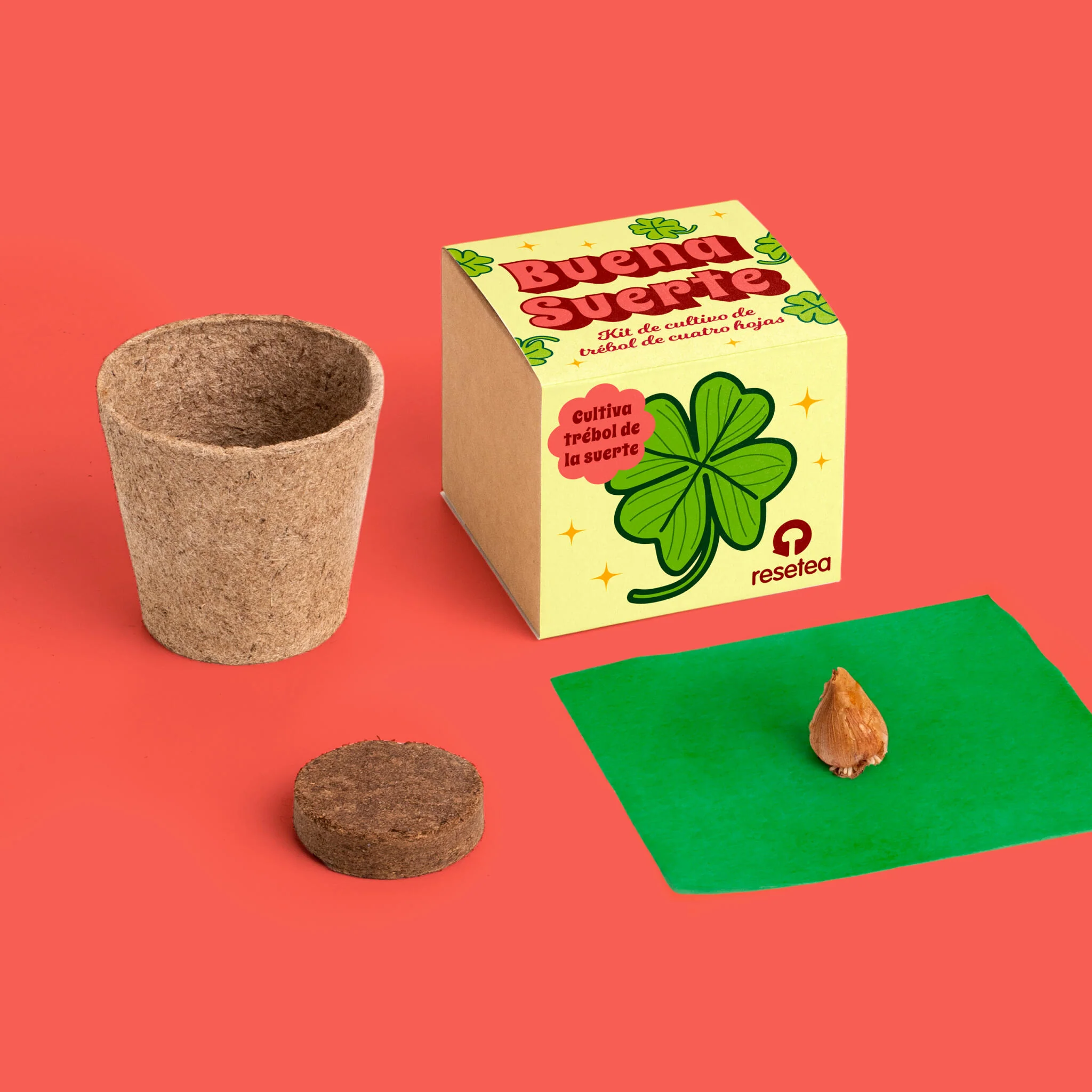 Buena Suerte | Kit Cultivo Trébol De 4 Hojas | Cultiva Tu Amuleto Natural En Casa | Regalo Original - Image 2
