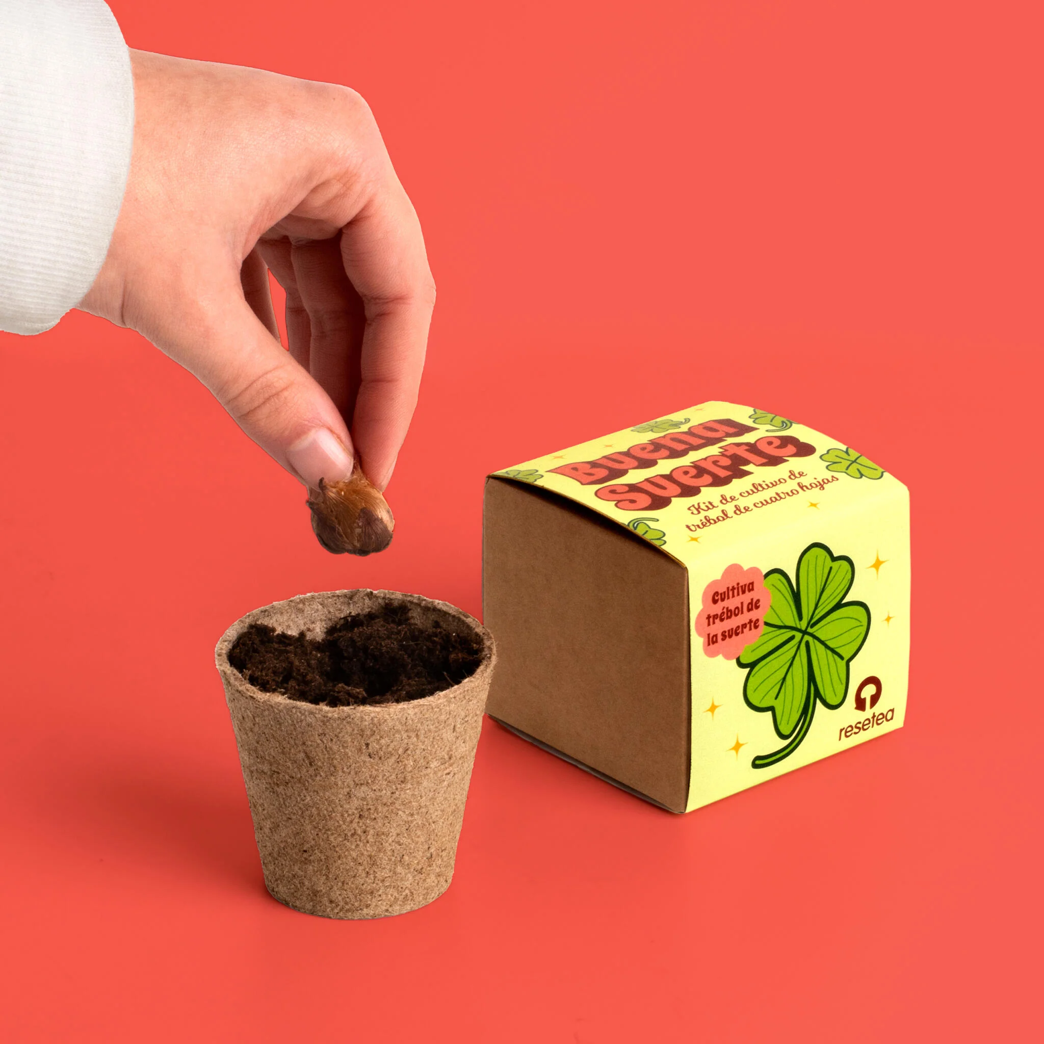Buena Suerte | Kit Cultivo Trébol De 4 Hojas | Cultiva Tu Amuleto Natural En Casa | Regalo Original - Image 5
