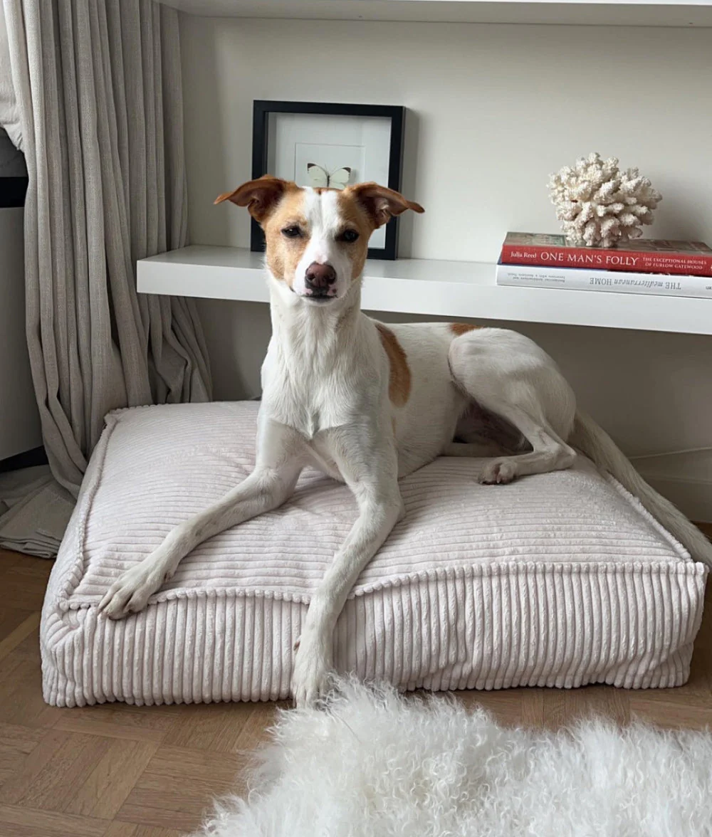 Cafide Cama De Material Reciclado Para Perro Con Tejido De Pana Blanco. Modelo Cuadra. - Image 3