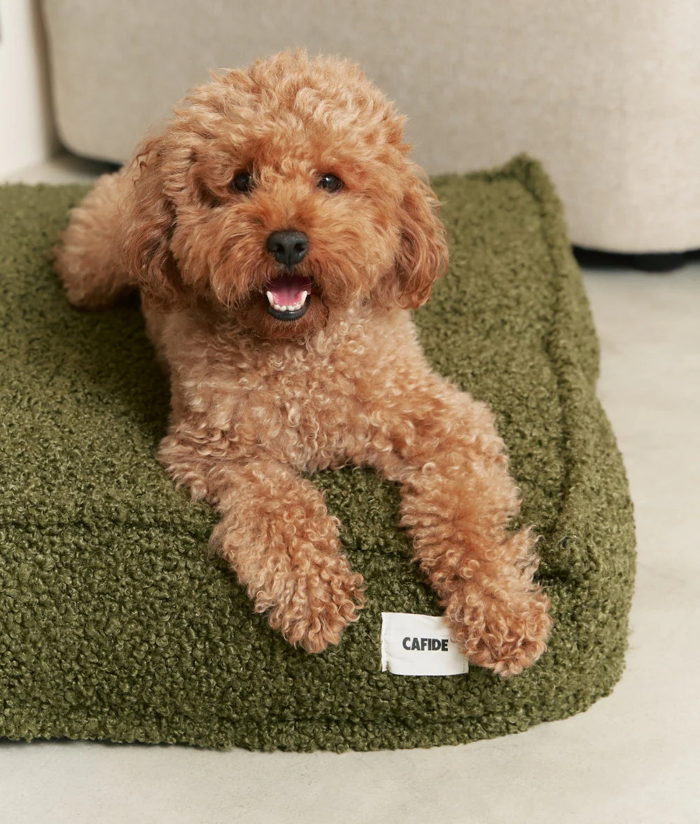 Cafide Cama De Material Reciclado Para Perro Con Tejido Estilo Borreguito Verde. Modelo Cuadra. - Image 3
