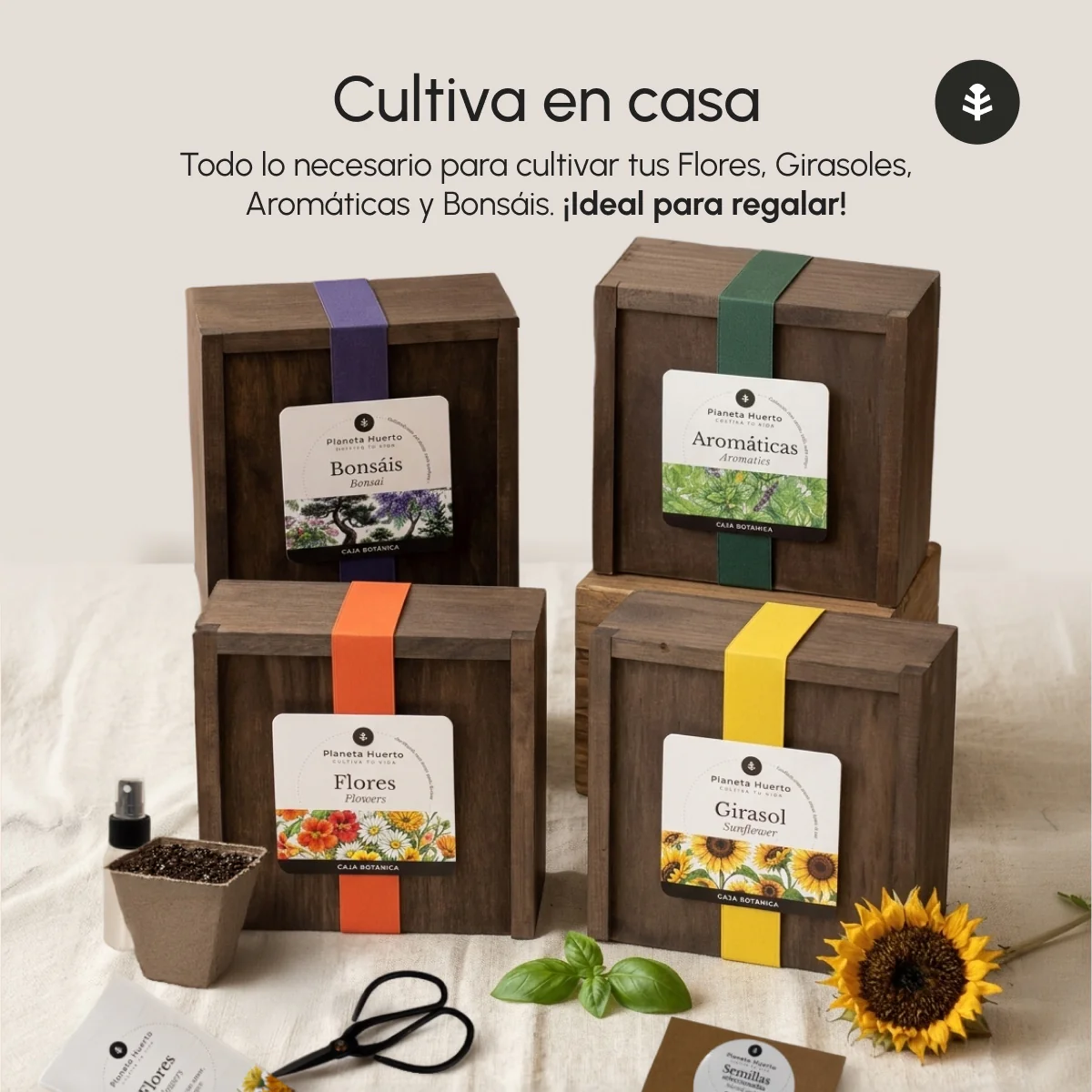 Kit de Cultivo de Aromáticas en Caja de Madera – Regalo Original Planeta Huerto - Image 6