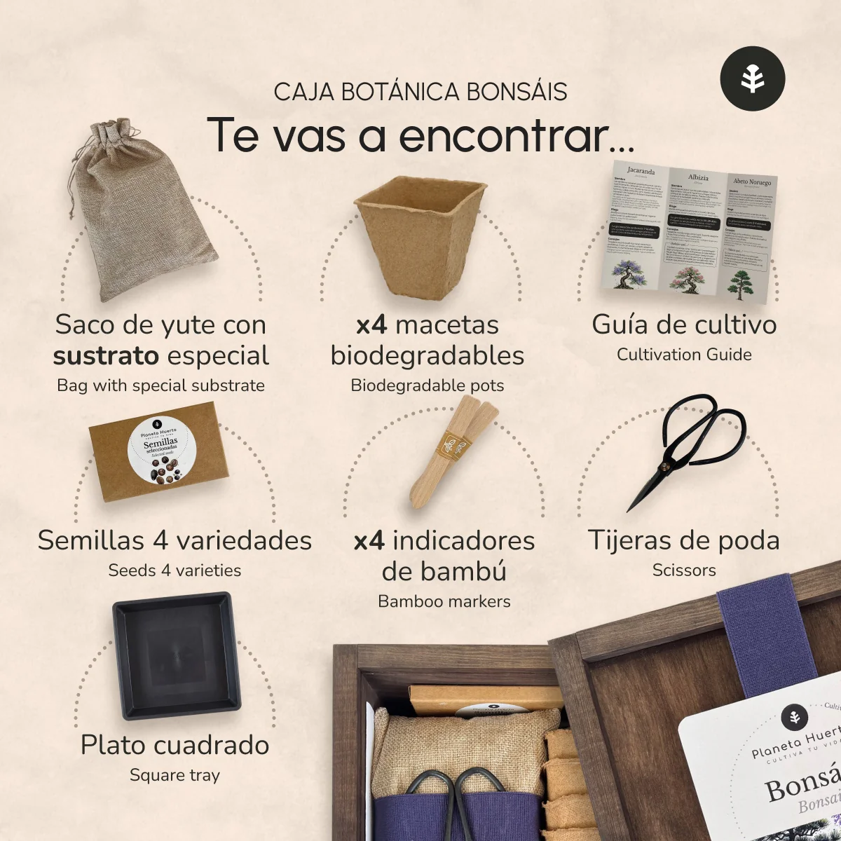 Kit de Cultivo de Bonsáis en Caja de Madera – Regalo Original Planeta Huerto - Image 3