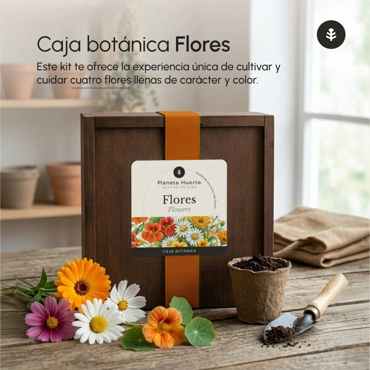 Kit de Cultivo de Flores en Caja de Madera – Regalo Original Planeta Huerto - Image 4