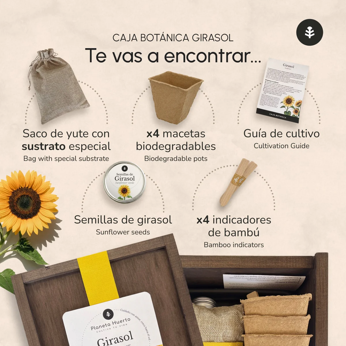 Kit de Cultivo de Girasol en Caja de Madera – Regalo Original Planeta Huerto - Image 3