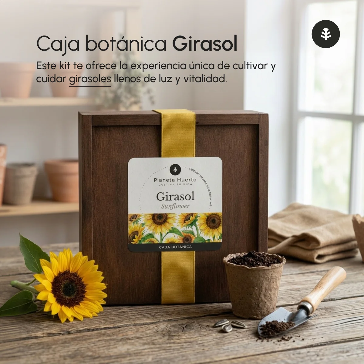 Kit de Cultivo de Girasol en Caja de Madera – Regalo Original Planeta Huerto - Image 4