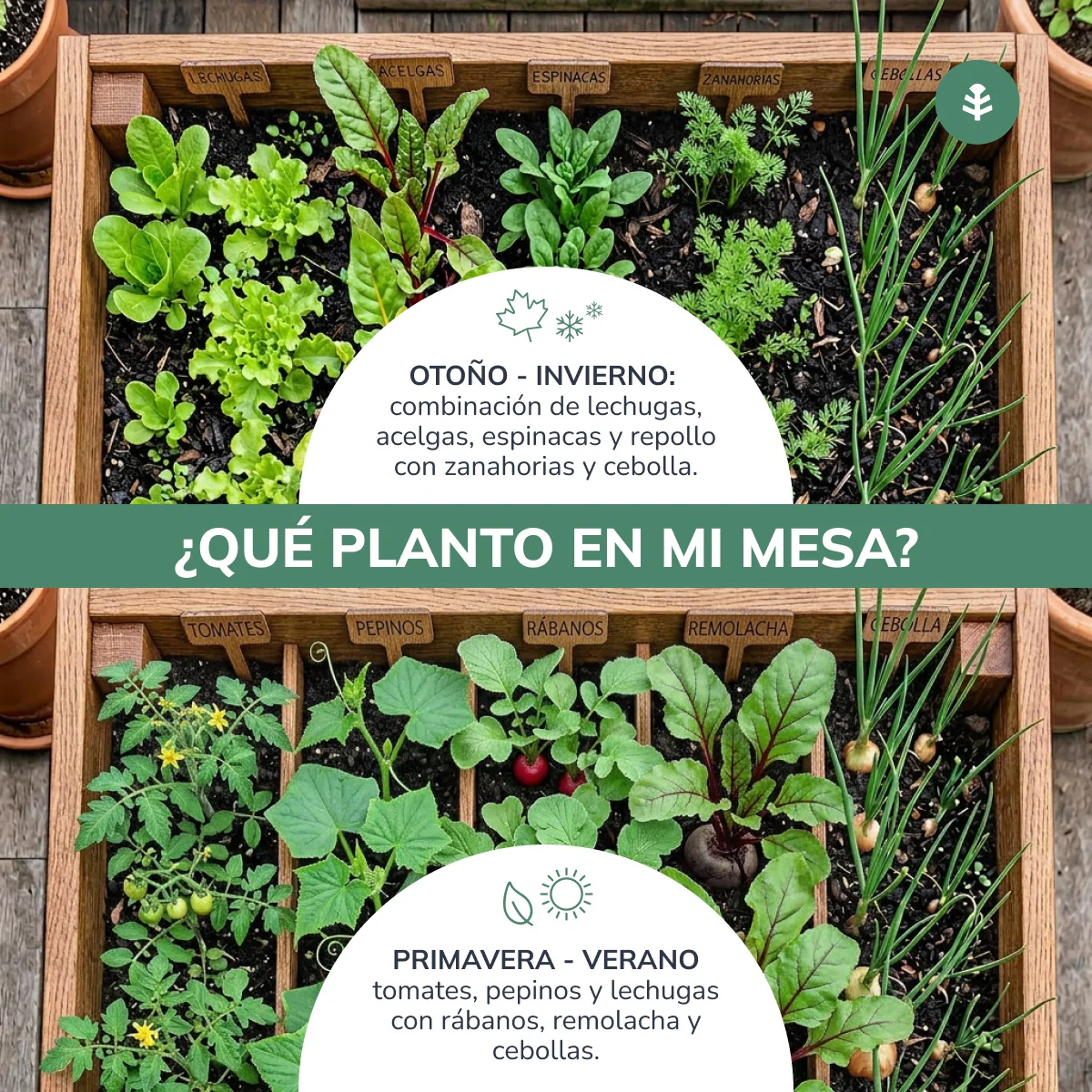 Mesa de Cultivo Huerto XXL80 Planeta Huerto (200X80X80) 270L - Image 3