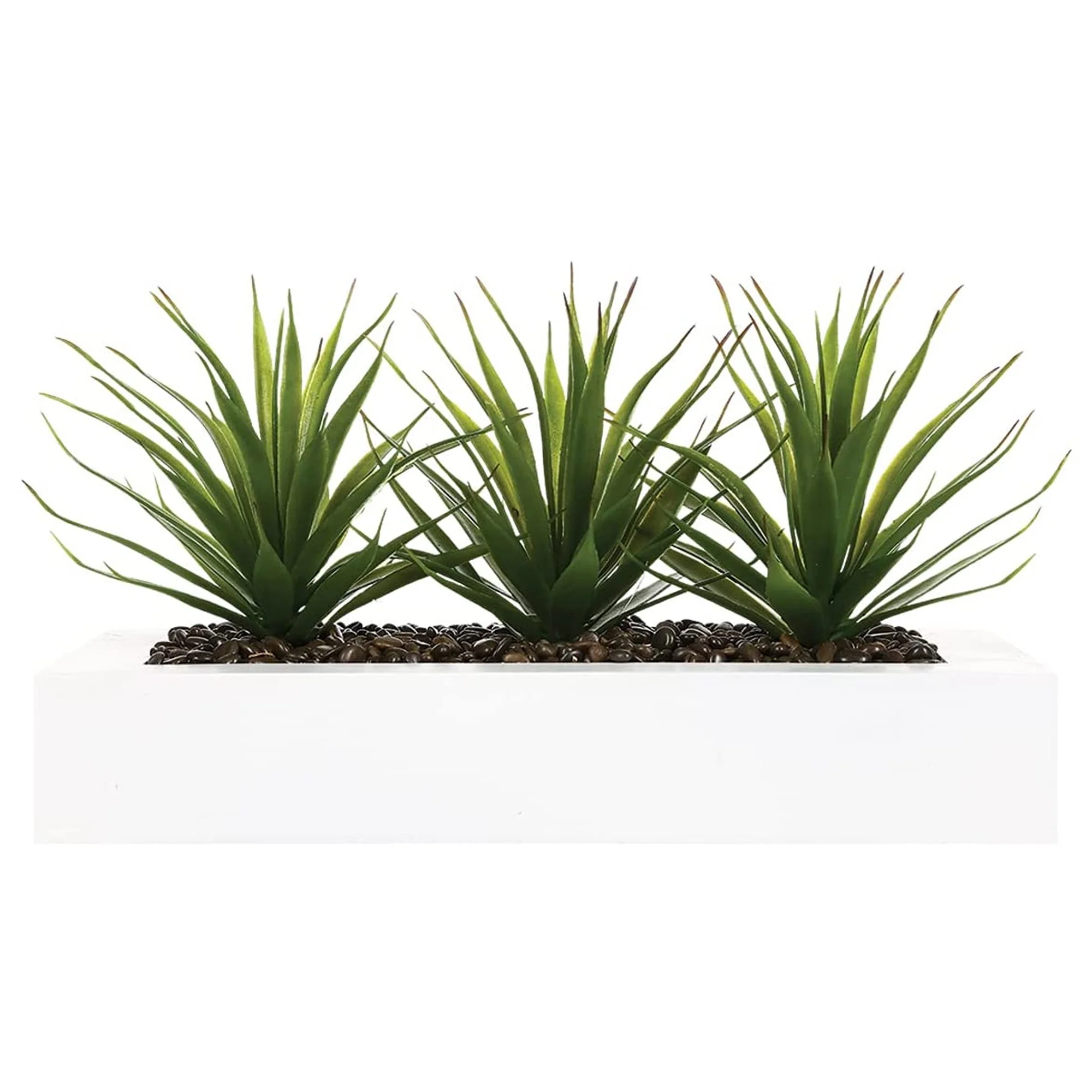 Centro De Mesa - 3 Aloe Vera - Altura 17 Cm - Image 3