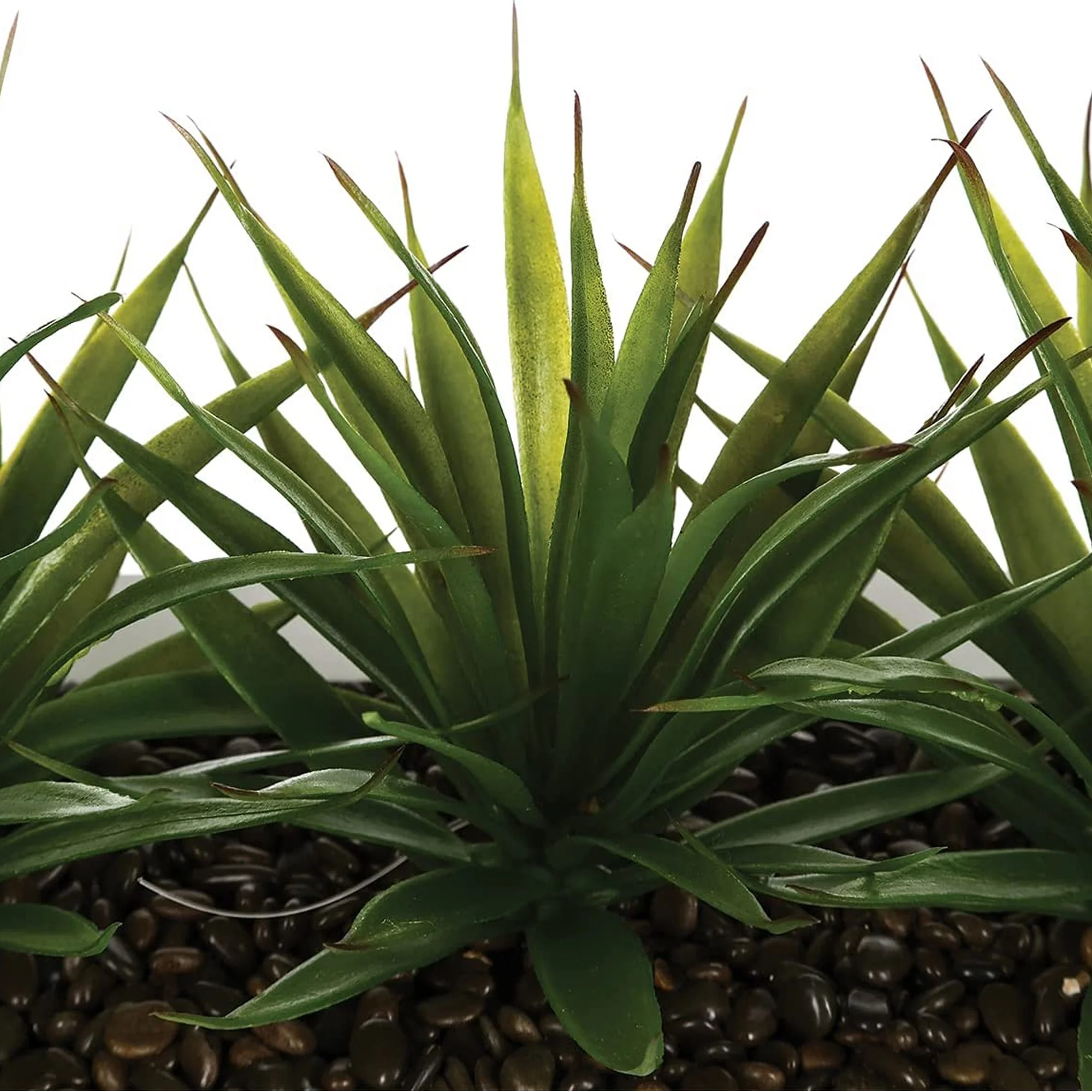 Centro De Mesa - 3 Aloe Vera - Altura 17 Cm - Image 4