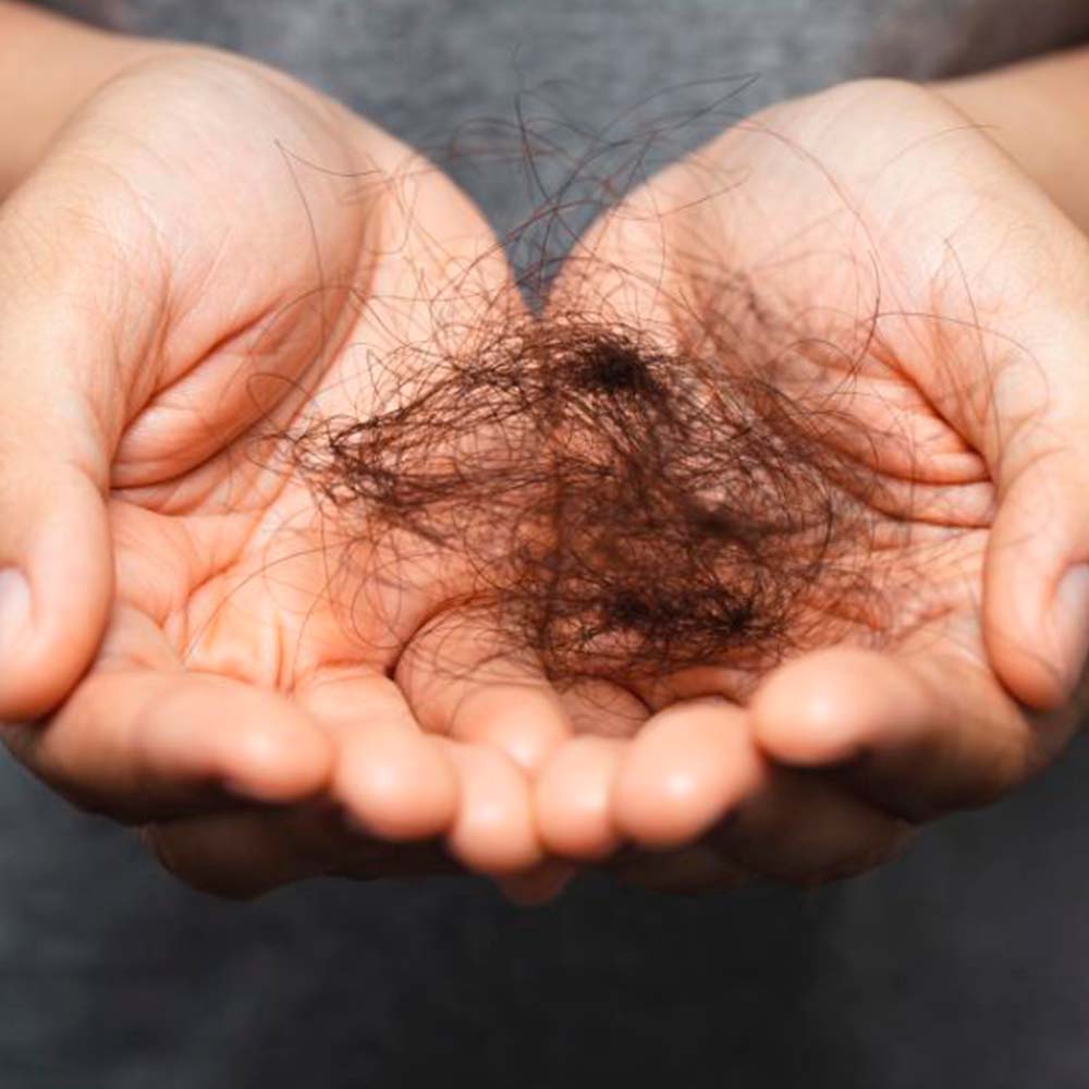 Champú Sólido Anticaída y Fortalecedor - 100% Natural - Todo Tipo de Cabello - Con Aceite de Ricino - 1 ud. - Image 2