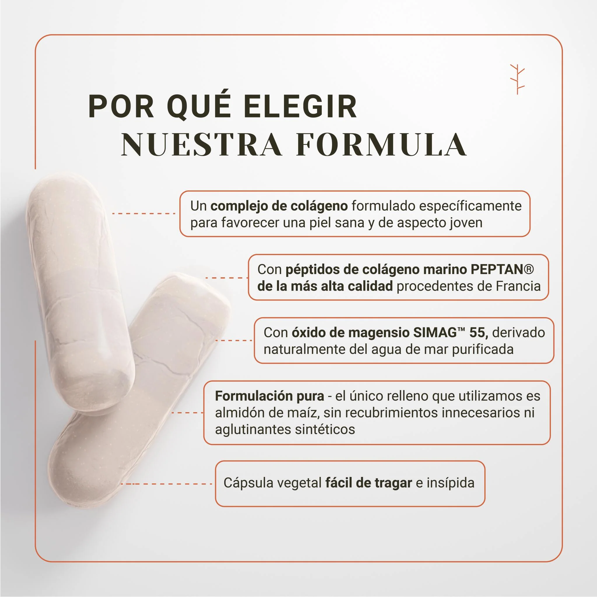 Colágeno Marino Con Ácido Hialurónico Y Magnesio – Hidratación, Antiarrugas Y Piel Firme (120 Cápsulas) - Image 3