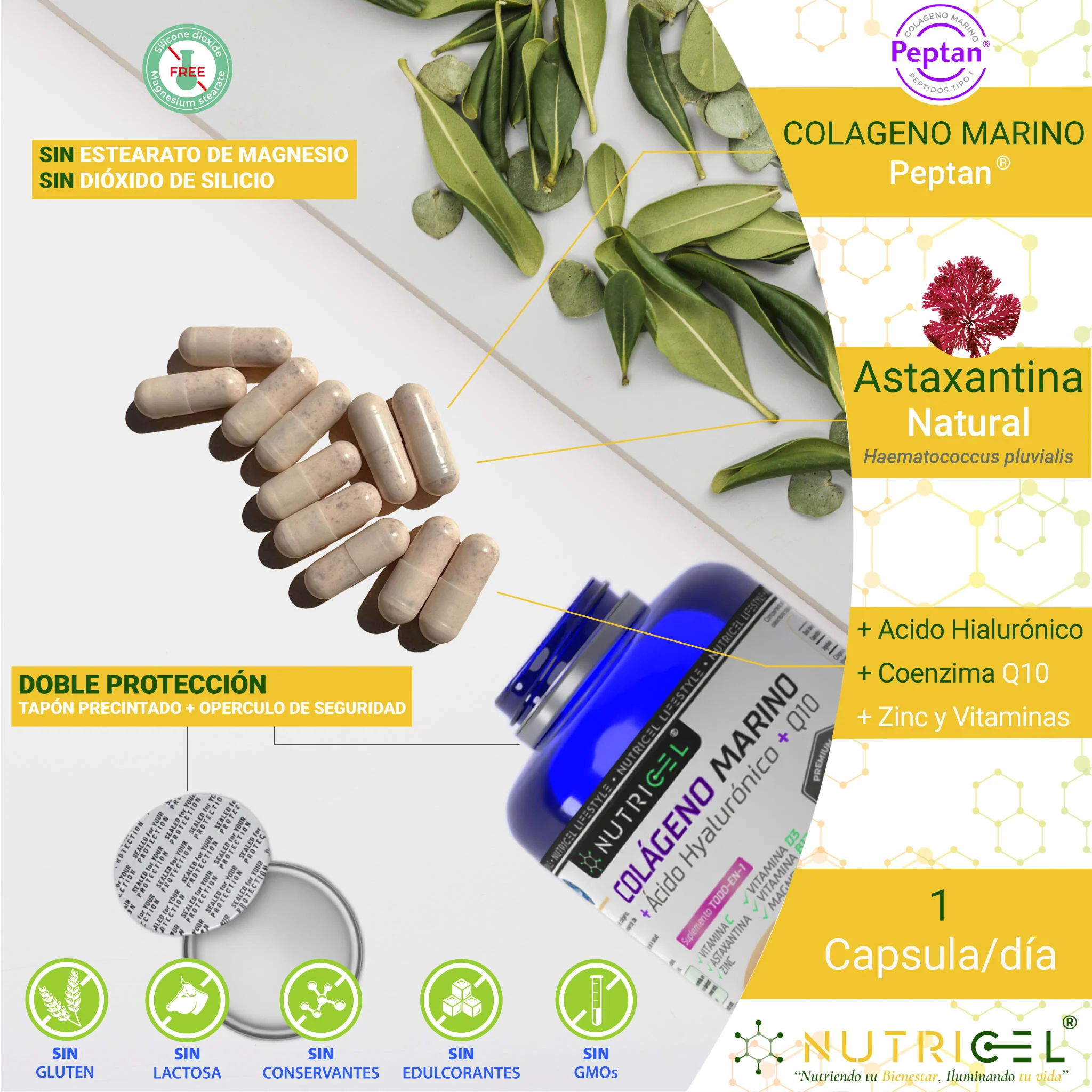 Colágeno Marino Peptan® Con Acido Hialurónico, Q10 Y Astaxantina - Image 2