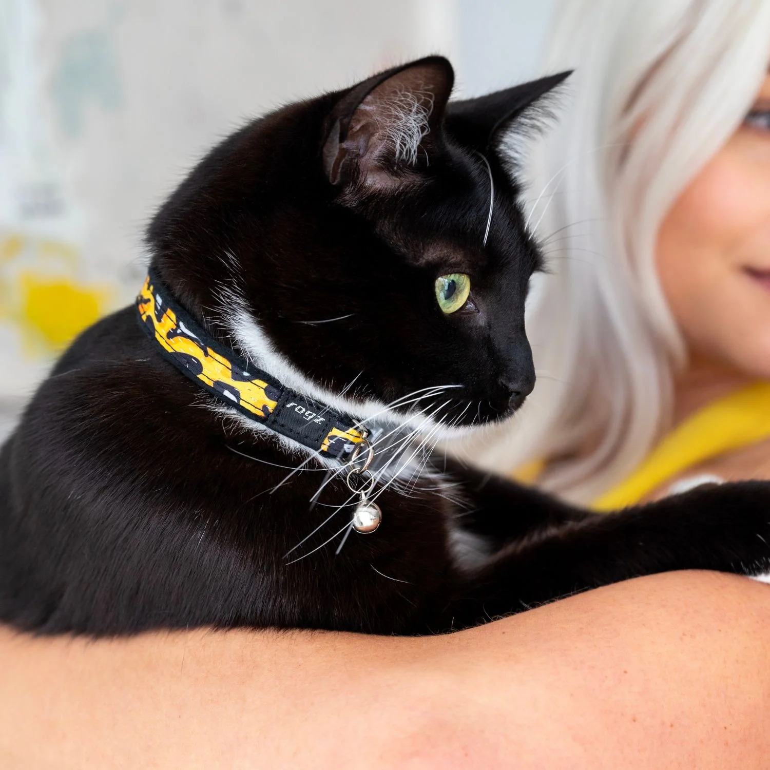 Collar Para Gato Fashioncat Estampado Amarillo Rogz Ajustable 20-31cm - Image 3