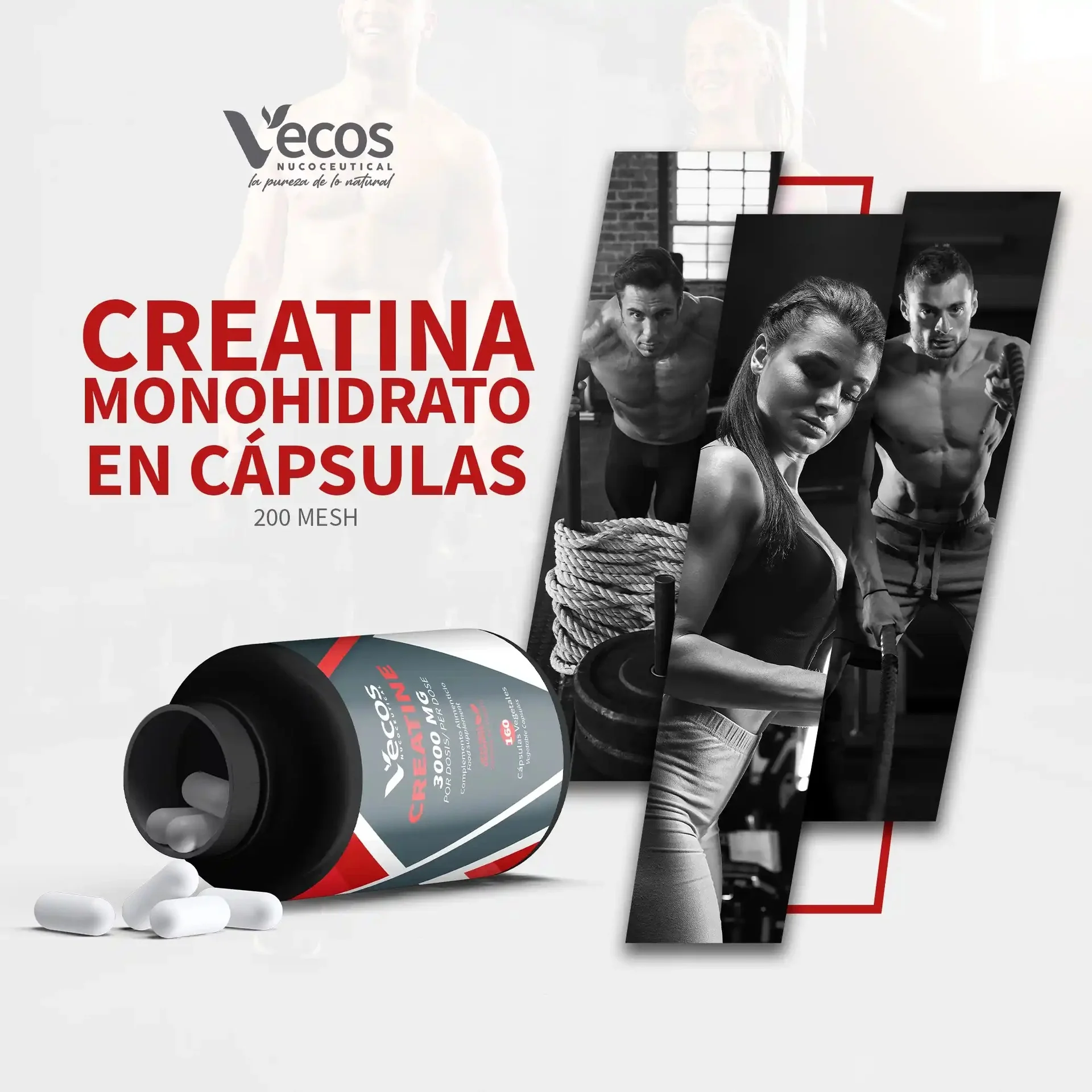 Creatina 3000 mg Vecos 160 capsulas - Image 2
