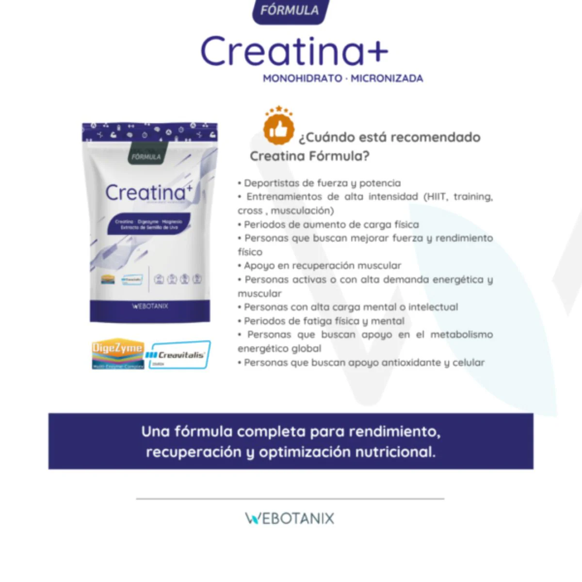 Creatina Fórmula Creavitalis WeBotanix 175g en polvo - Image 2