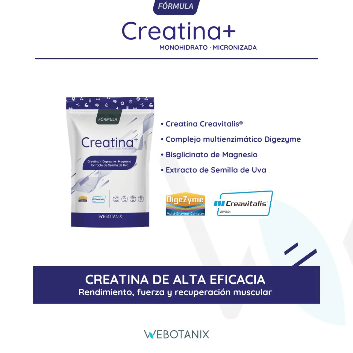 Creatina Fórmula Creavitalis WeBotanix 175g en polvo - Image 3