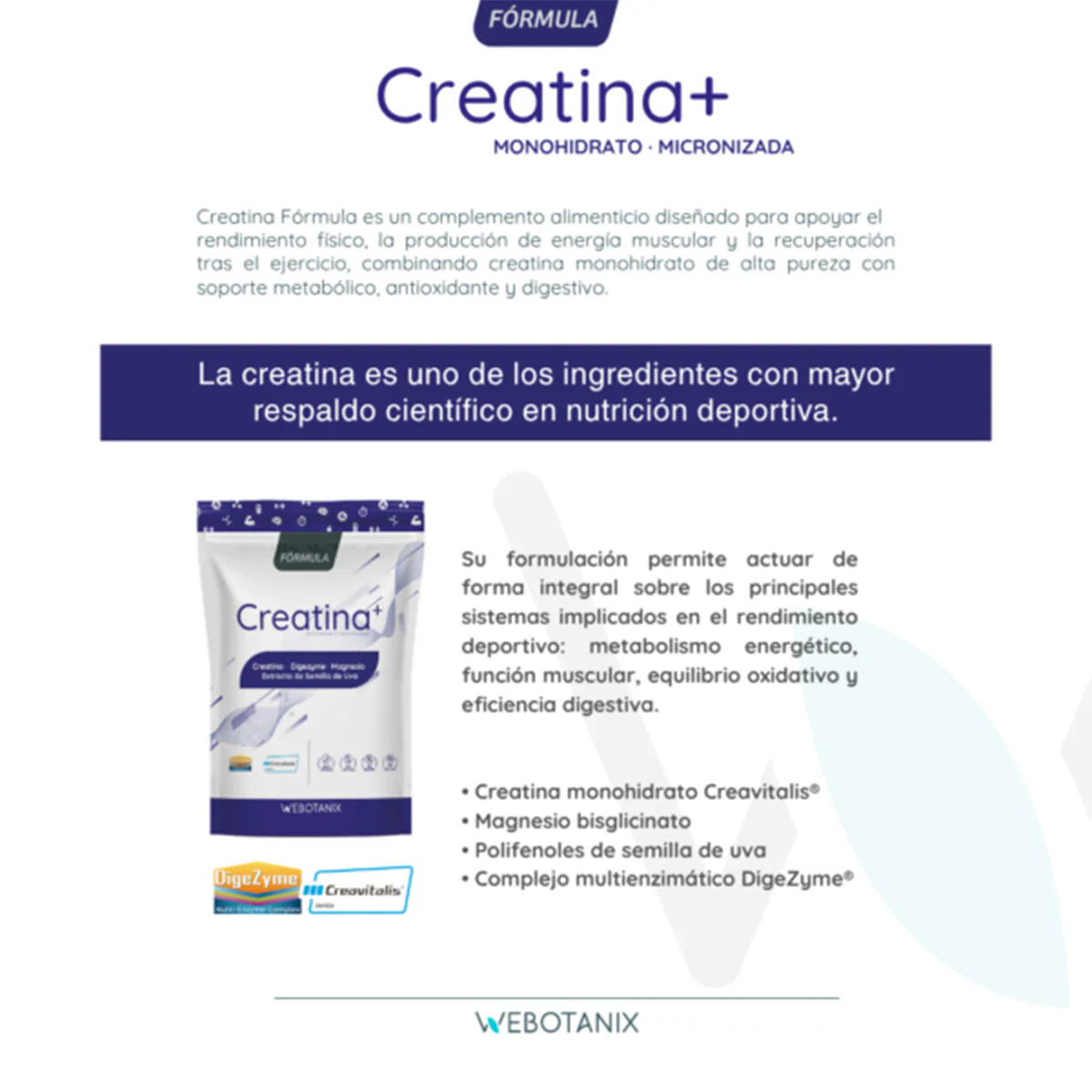 Creatina Fórmula Creavitalis WeBotanix 175g en polvo - Image 4