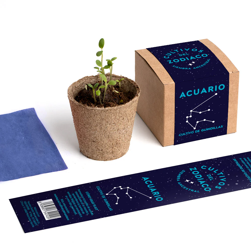 Cultivos Del Zodiaco – Acuario | Kit De Cultivo Con Semillas De Guindillas - Image 5