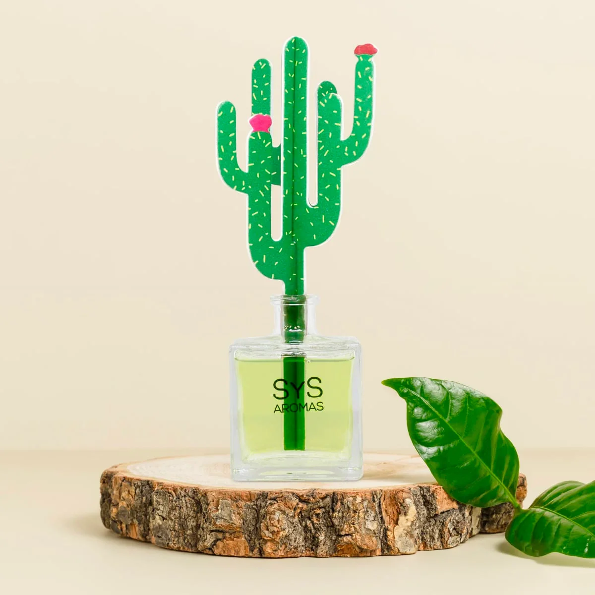 Difusor de Varillas Cactus Aloe Vera y Bambú 90 ml | Aroma Fresco Natural | Mikado Decorativo | Ambiente Relajante - Image 2
