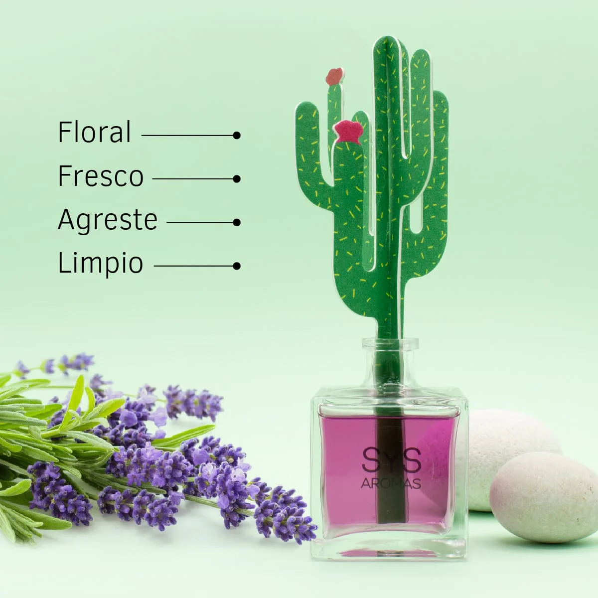 Difusor de Varillas Cactus Lavanda 90 ml | Aroma Floral Relajante | Mikado Decorativo | Ambiente Calmante - Image 3