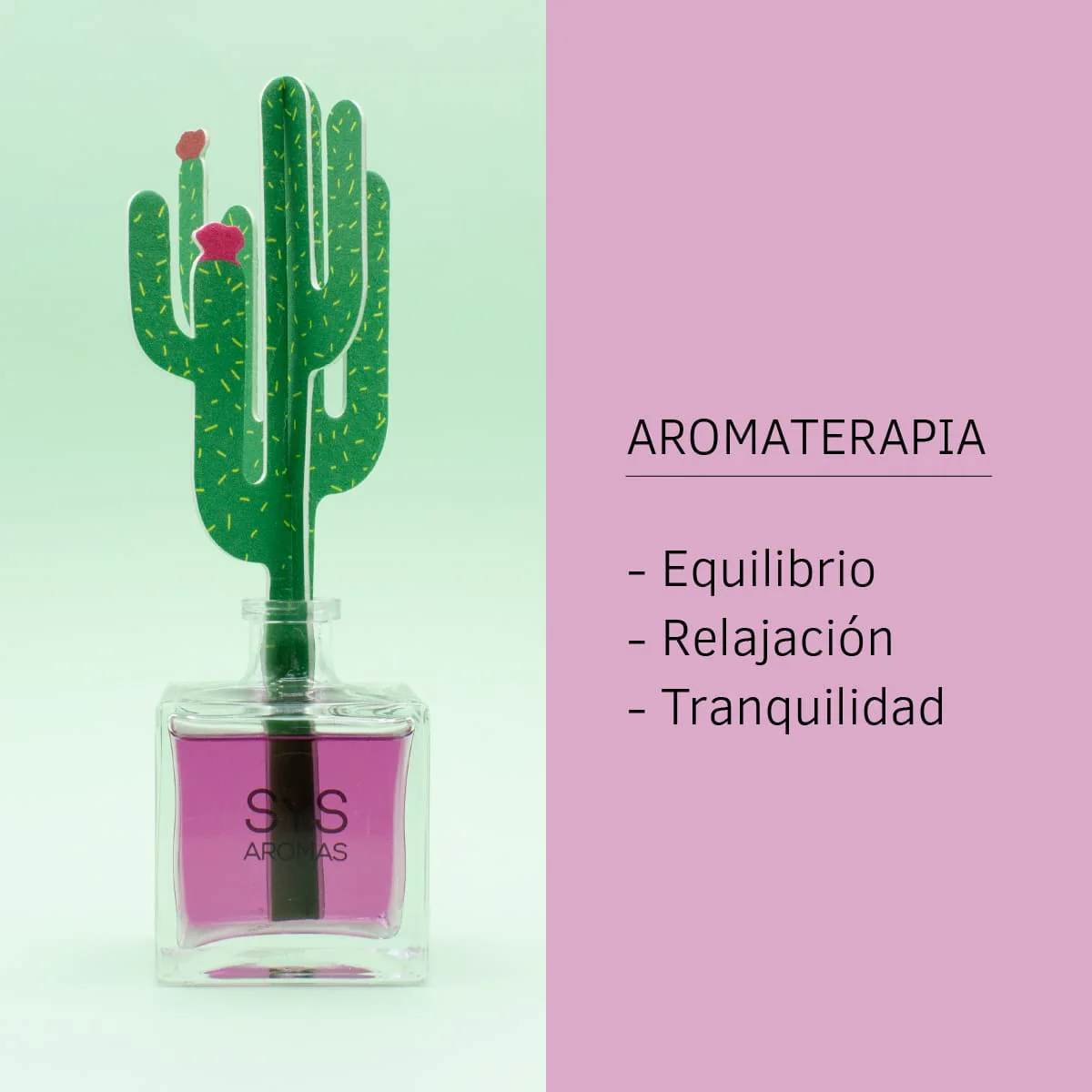 Difusor de Varillas Cactus Lavanda 90 ml | Aroma Floral Relajante | Mikado Decorativo | Ambiente Calmante - Image 4