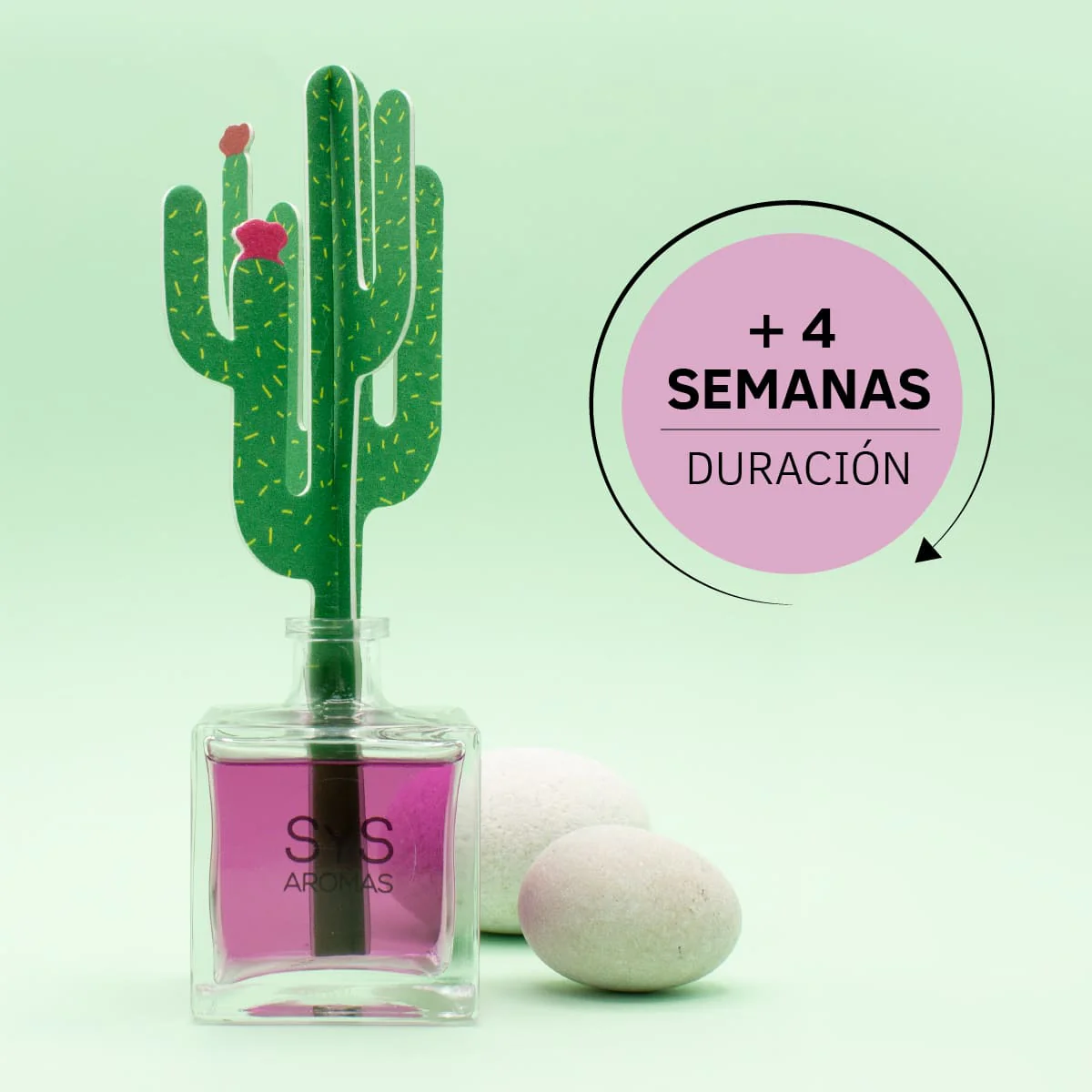 Difusor de Varillas Cactus Lavanda 90 ml | Aroma Floral Relajante | Mikado Decorativo | Ambiente Calmante - Image 5