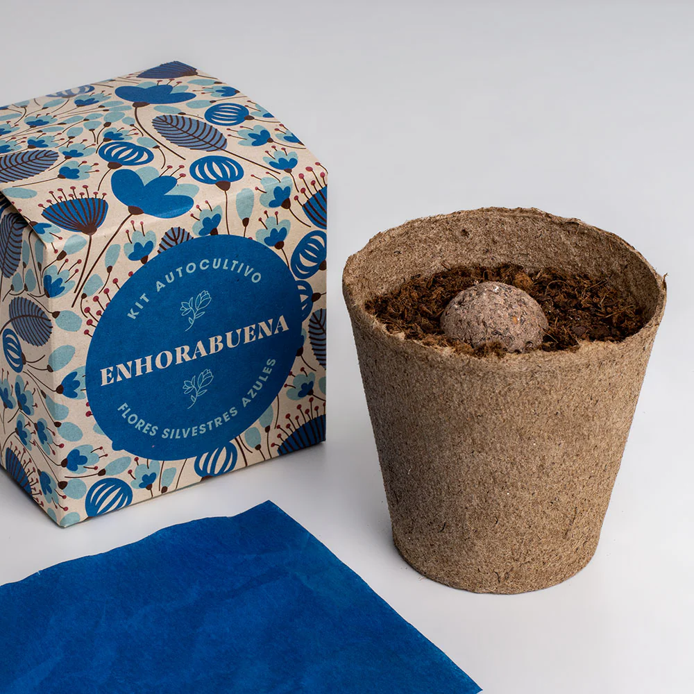 Díselo Con Flores Enhorabuena | Kit Cultivo Flores Silvestres Azules (lino Azul, Nomeolvides Y Flor Celeste) - Image 3