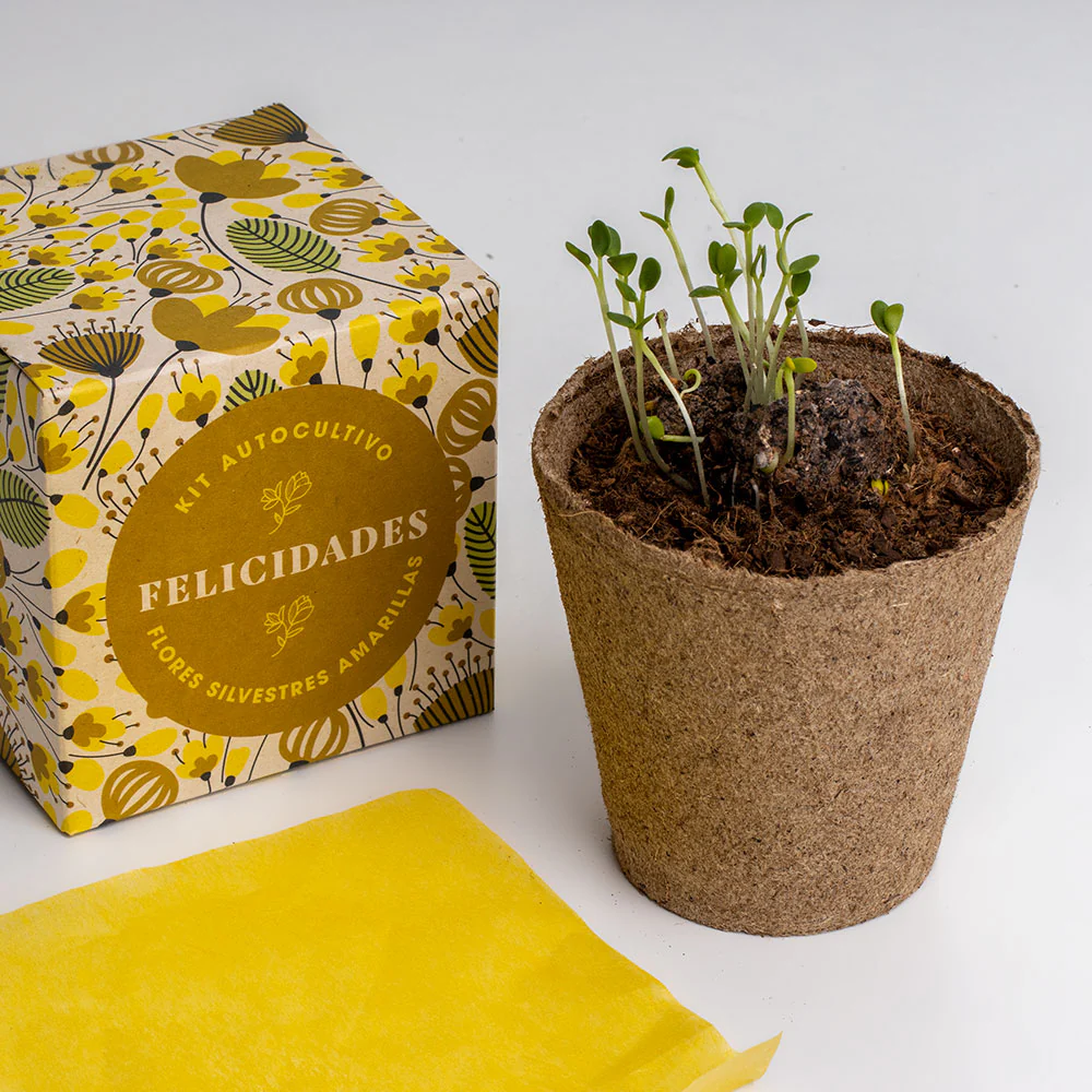 Díselo Con Flores Felicidades | Kit Autocultivo Flores Silvestres Amarillas (alhelí Dorado, Hipérico Y Vulneraria) - Image 4